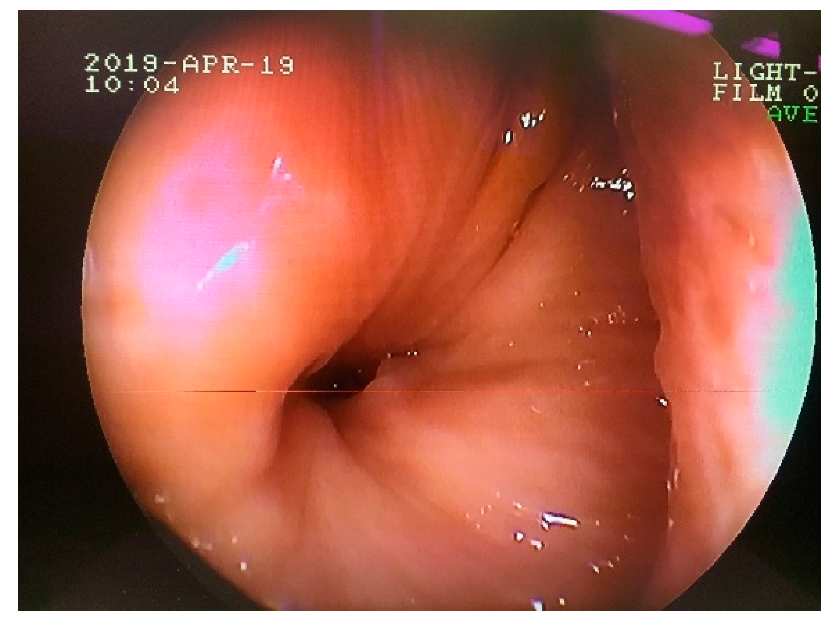 Animals 11 00317 g009