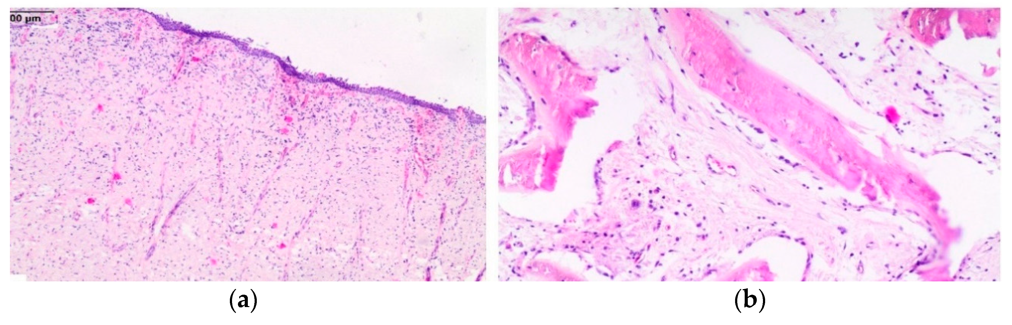 Animals 11 00317 g010