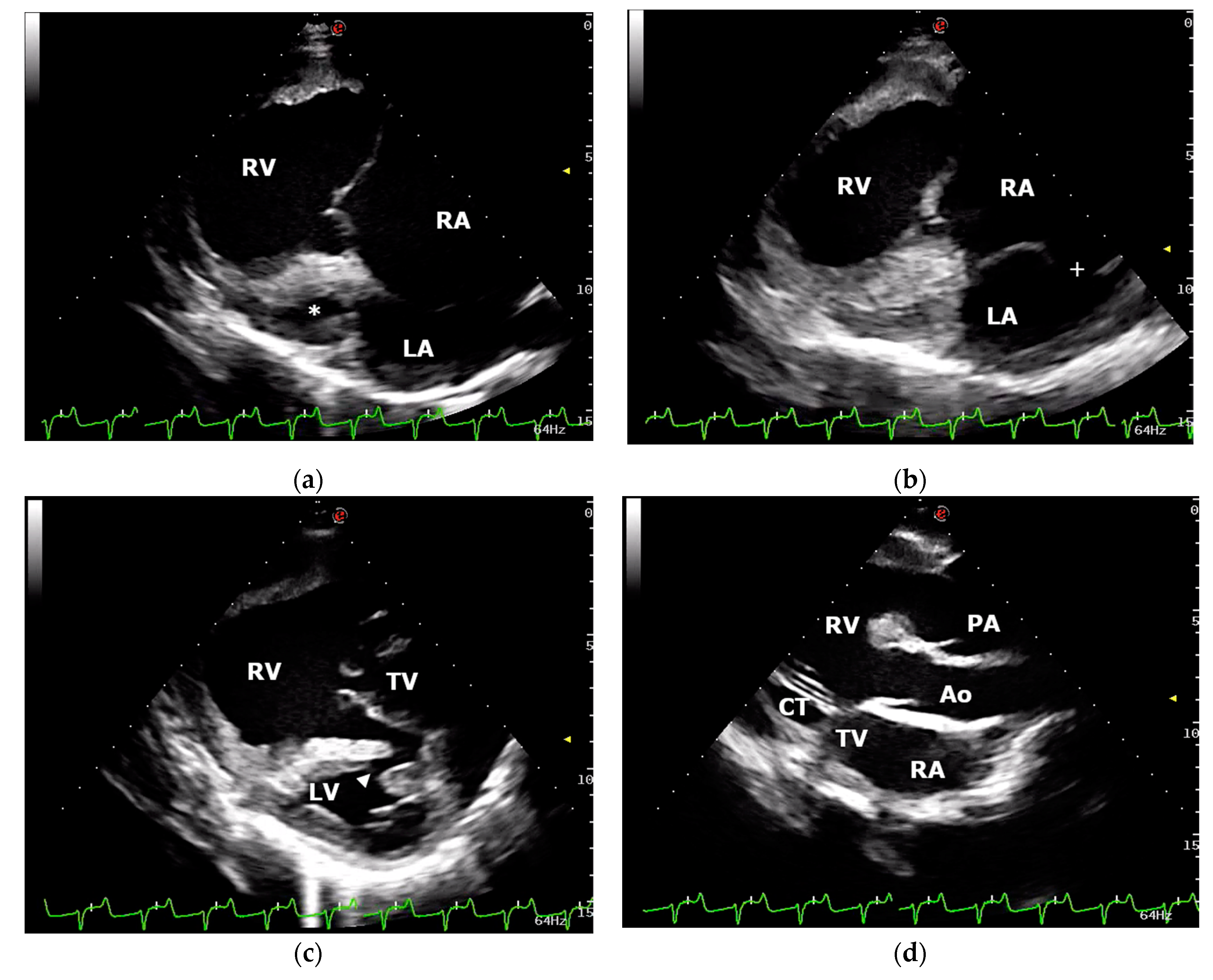 Animals 11 00318 g001