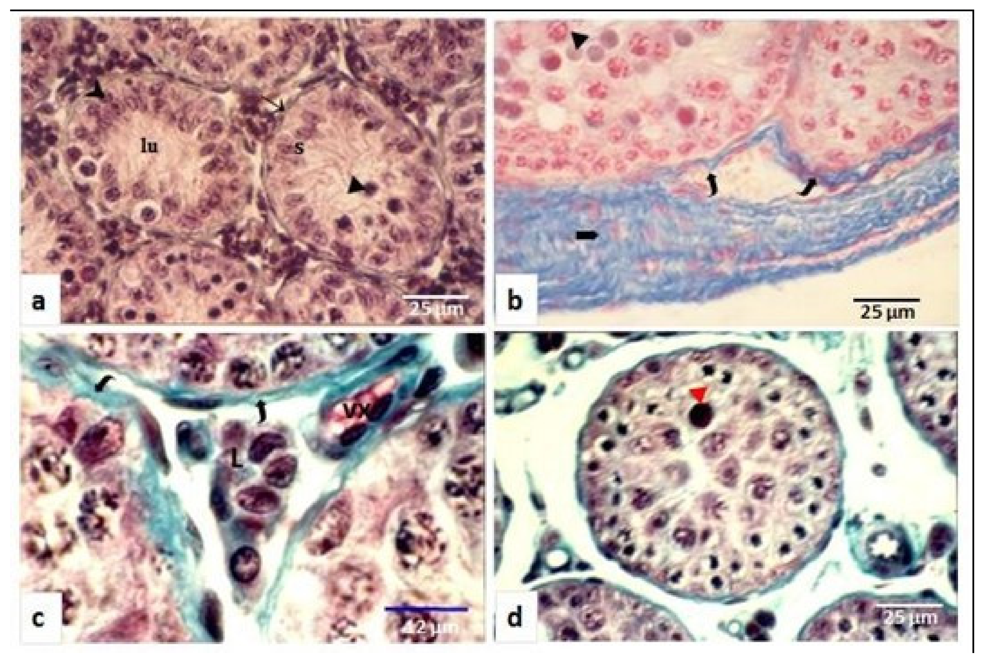 Animals 11 00320 g002