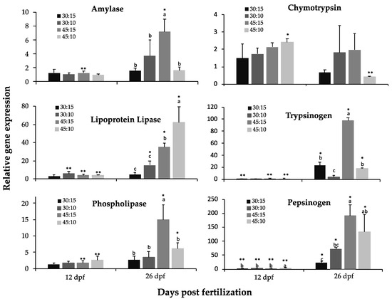 HB Alternator Rectifiers for European Vehicles - Delcoribo