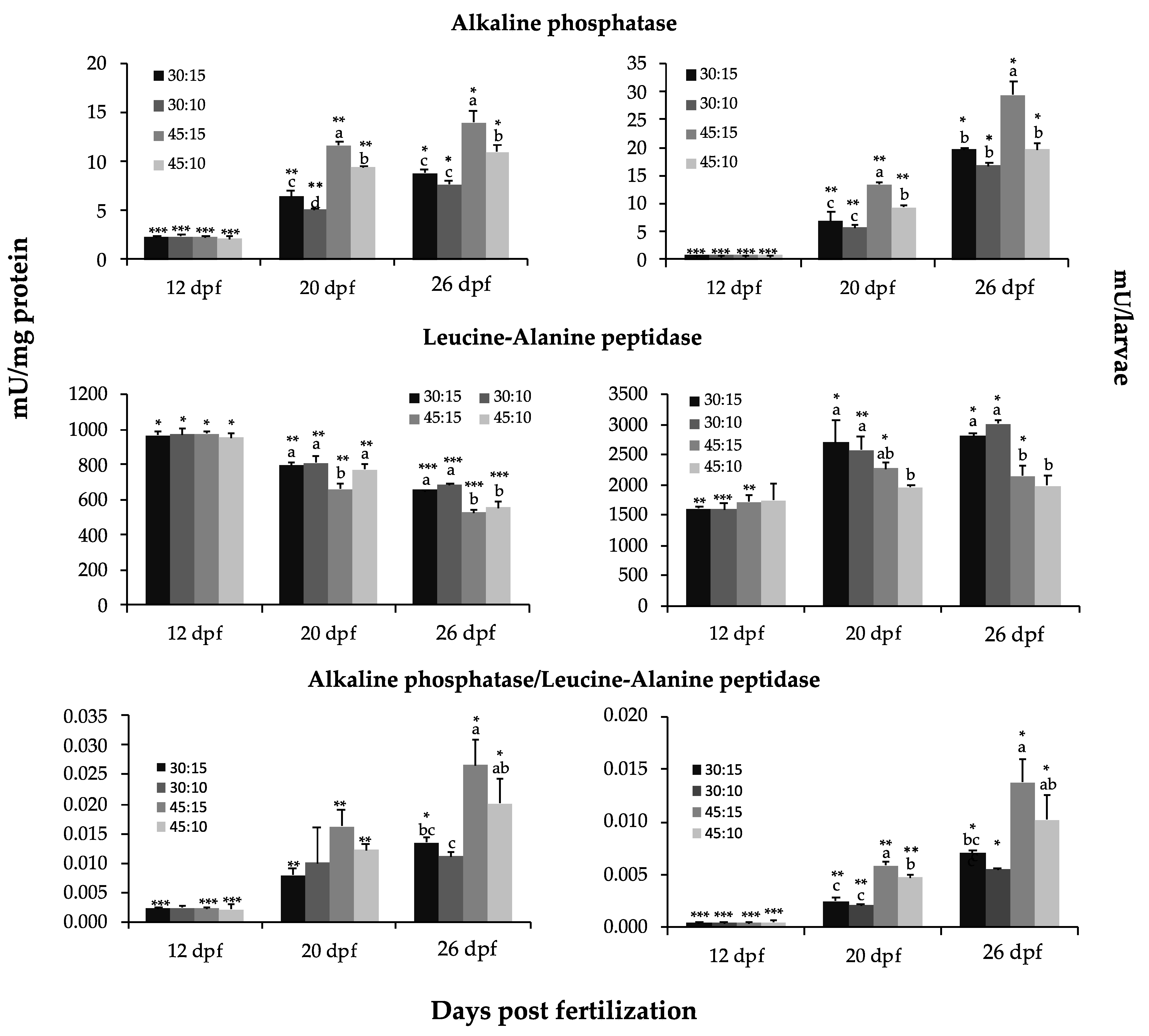 HB The Digestive Function of Pseudoplatystoma punctifer Early