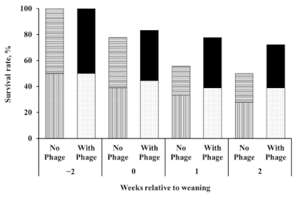 Animals 11 00372 g001 Animals 11 00372 g001