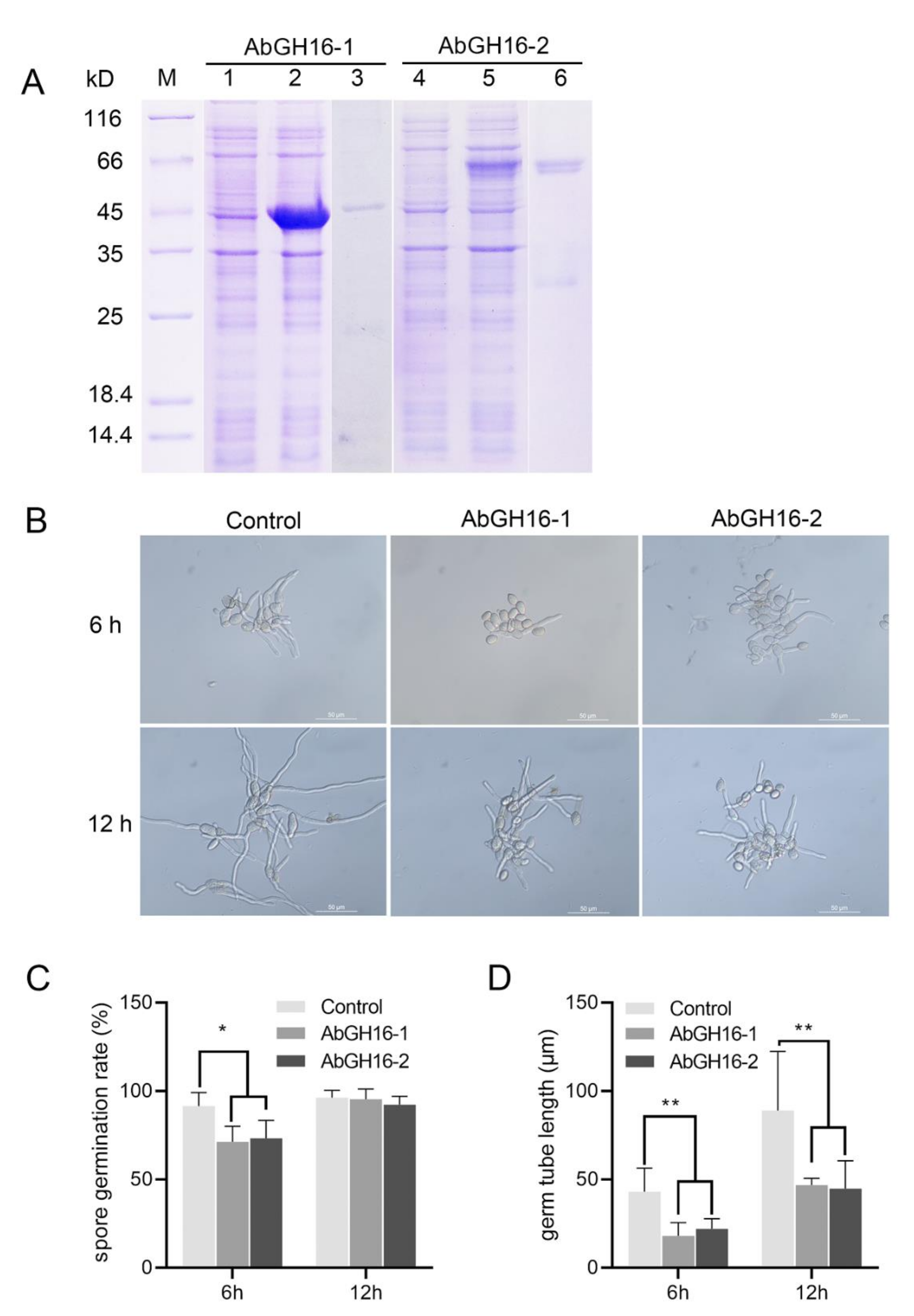 Animals 11 00374 g007