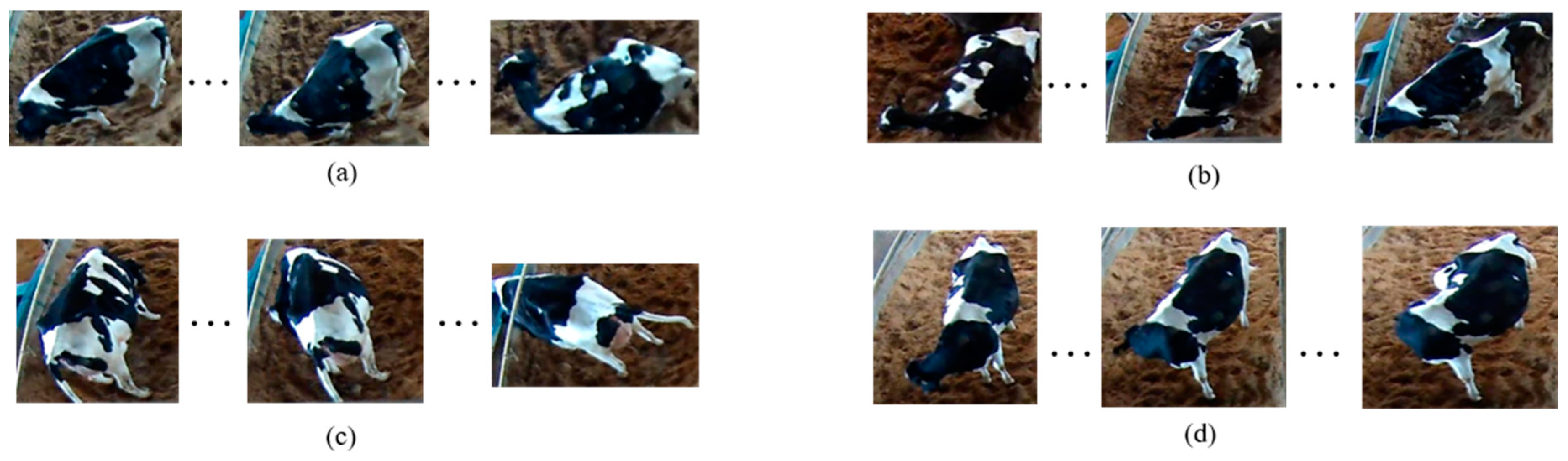 Animals 11 00385 g001 Animals 11 00385 g001