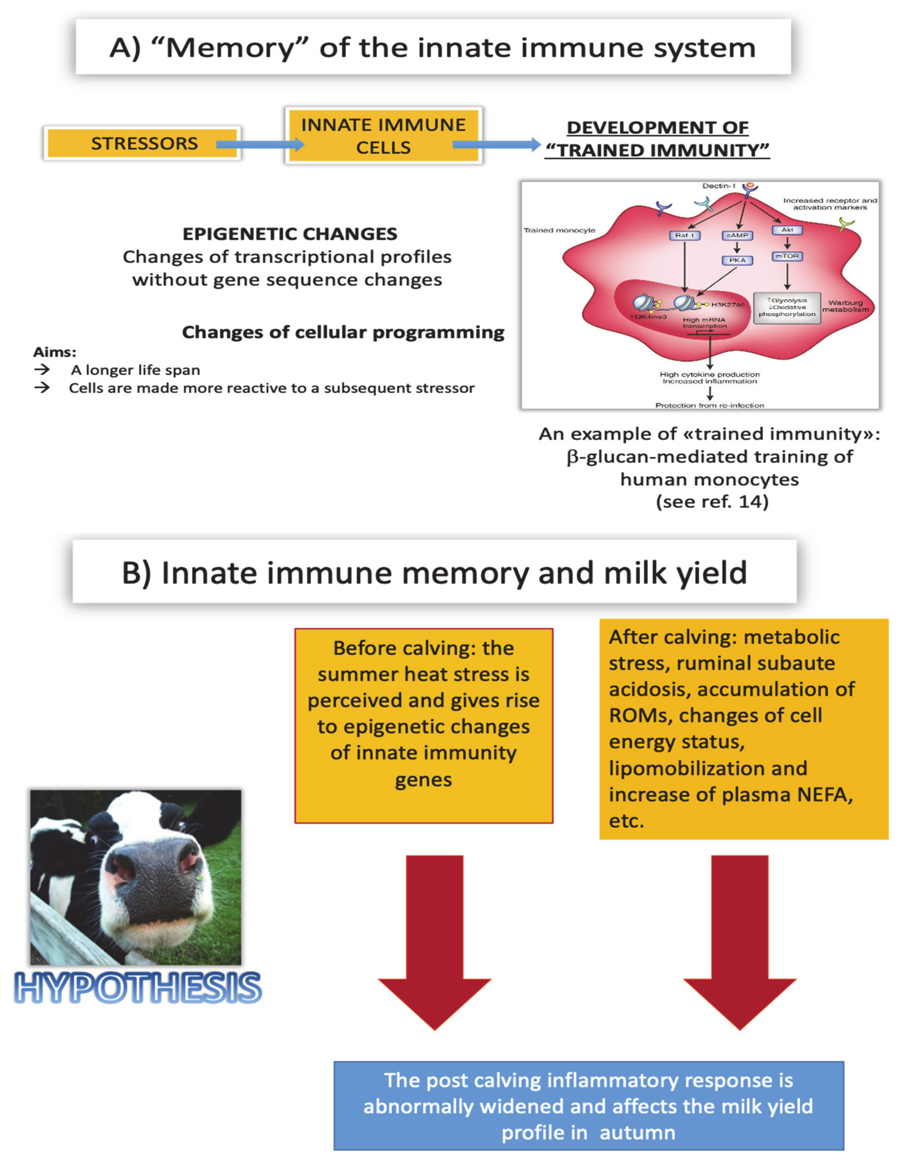 Animals 11 00388 g004 Animals 11 00388 g004