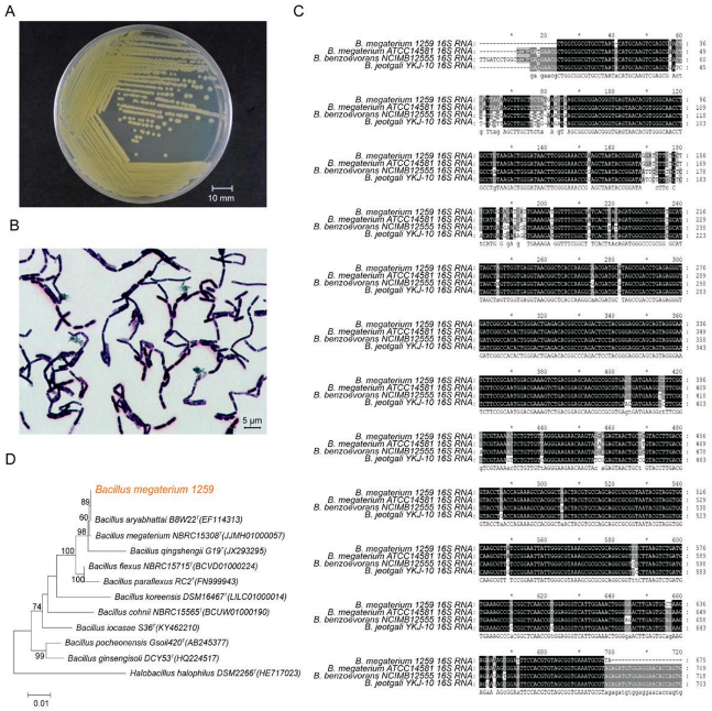 Animals 11 00397 g001 Animals 11 00397 g001