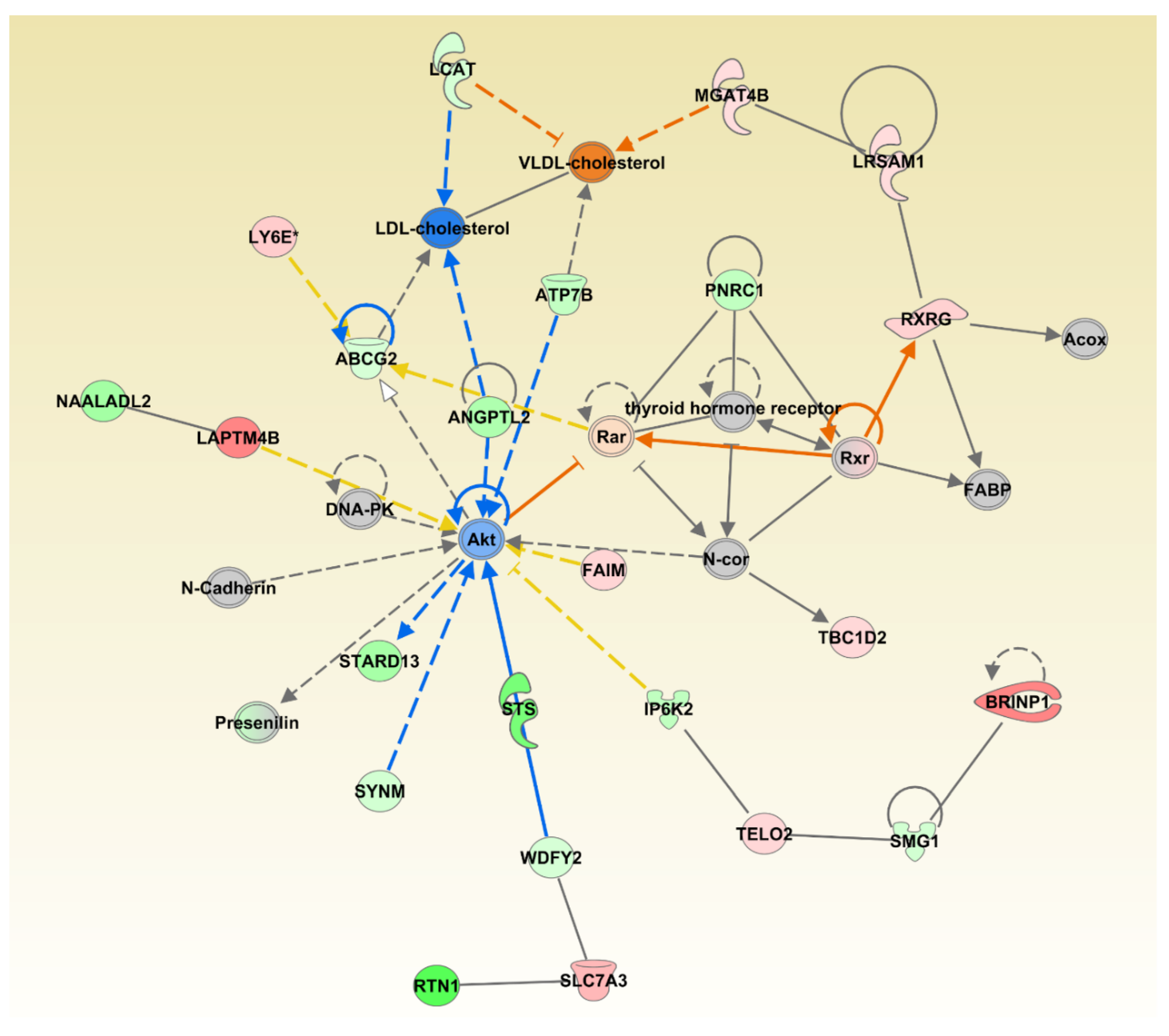 Animals 11 00398 g005