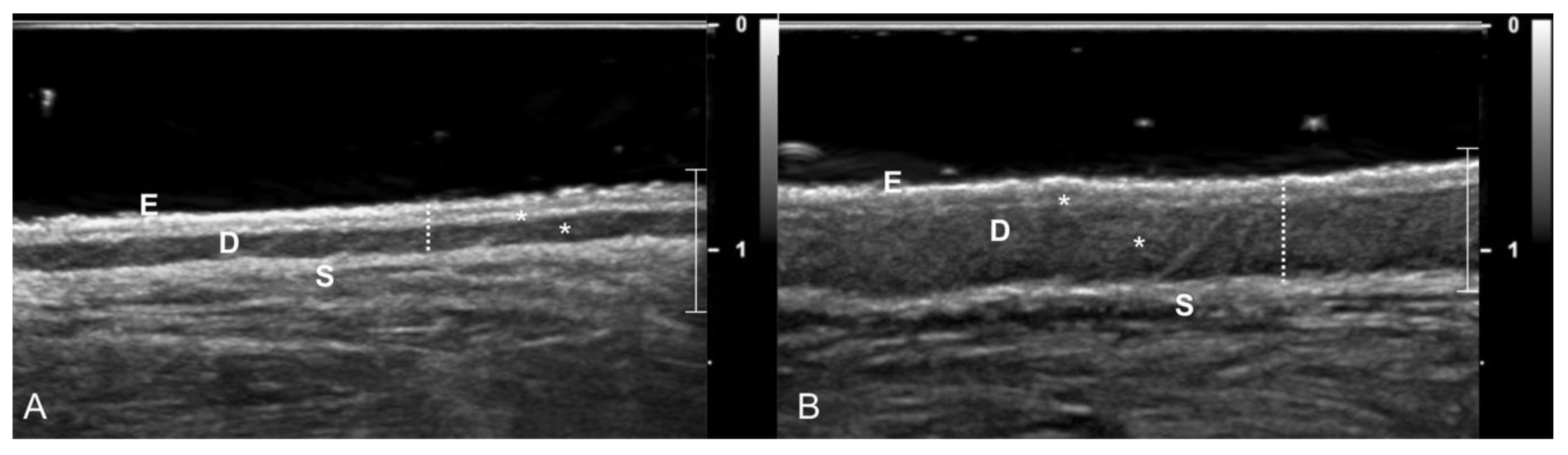 Animals 11 00408 g001 Animals 11 00408 g001