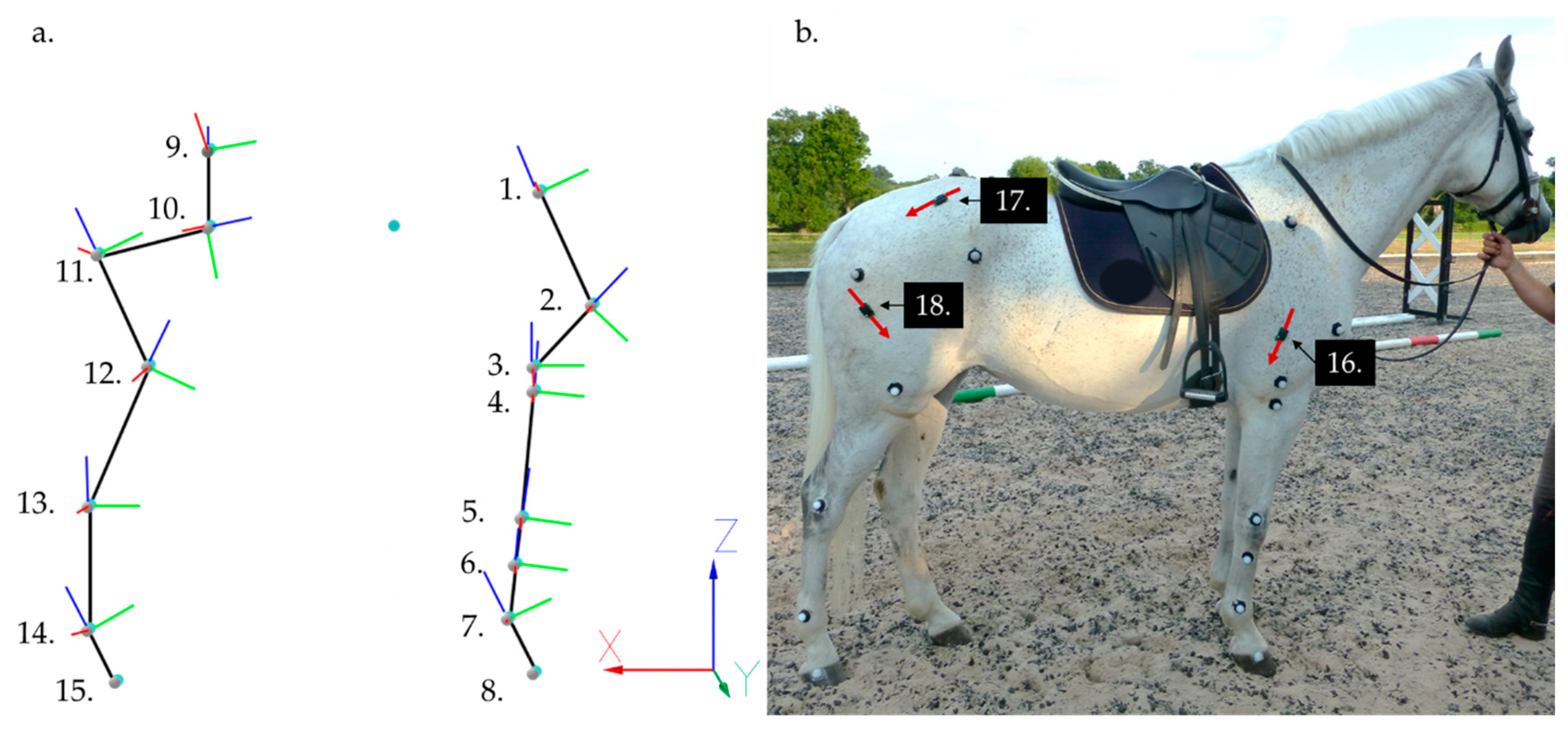 Animals 11 00414 g001