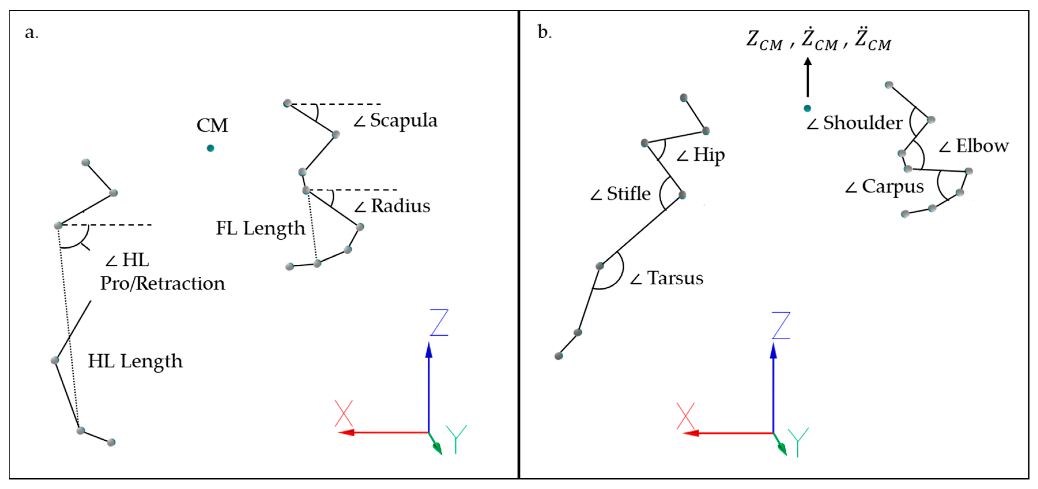 Animals 11 00414 g002
