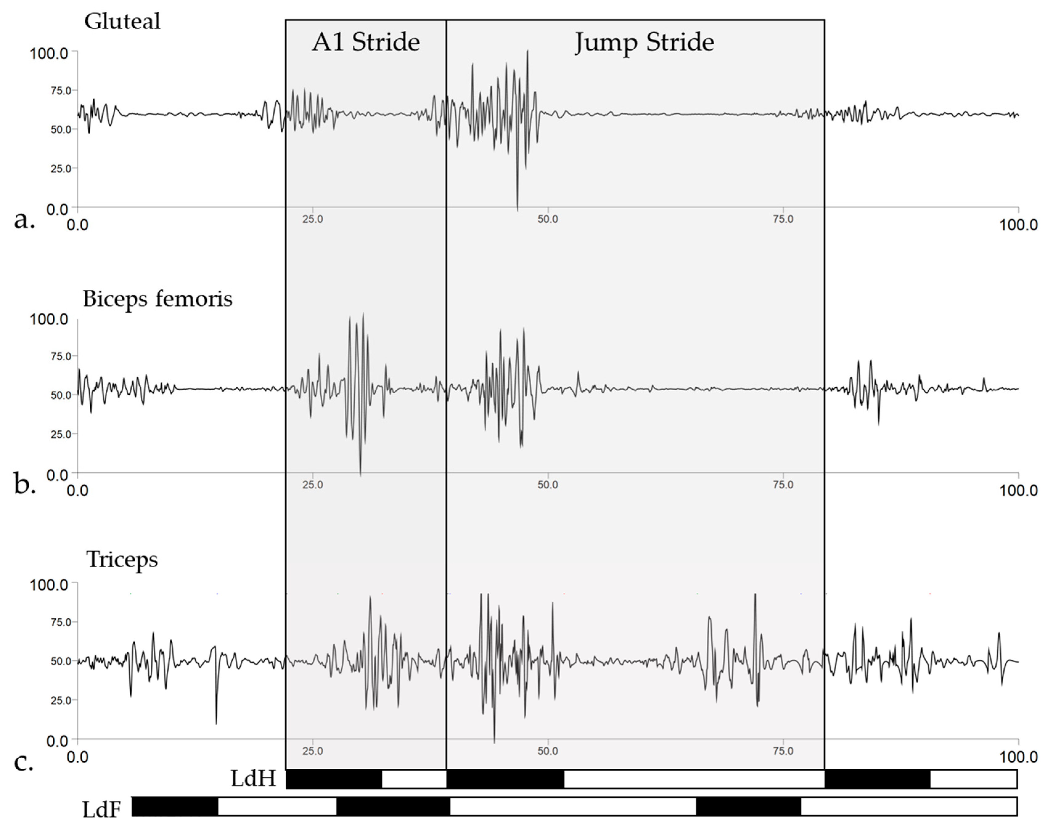 Animals 11 00414 g005