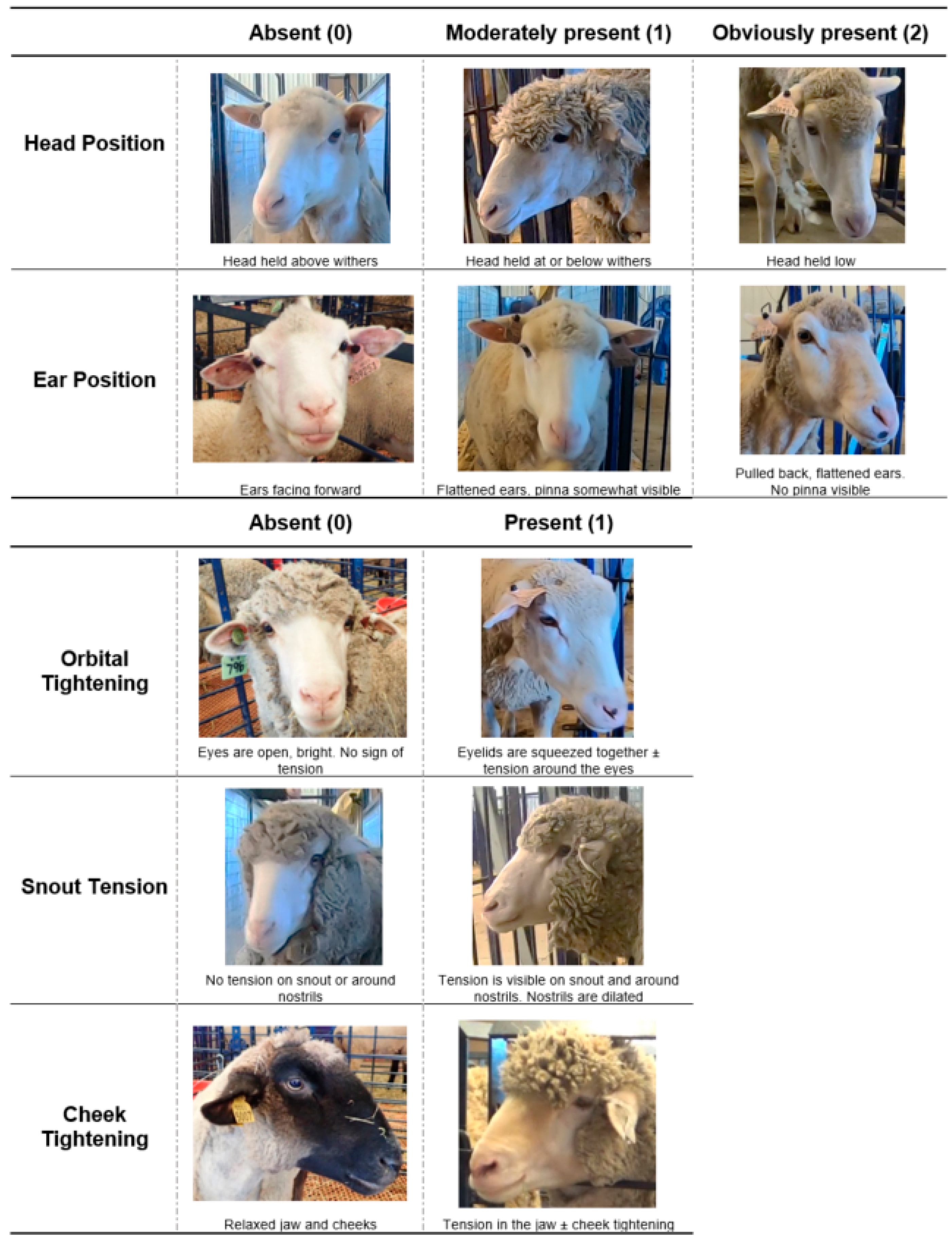 Animals 11 00423 g001 Animals 11 00423 g001