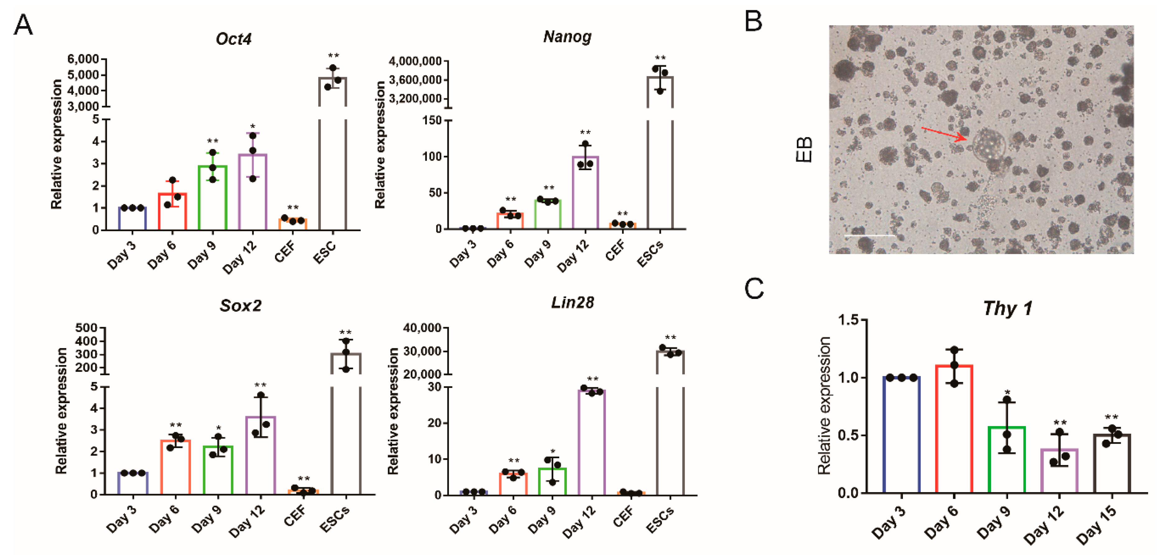 Animals 11 00425 g002 Animals 11 00425 g002