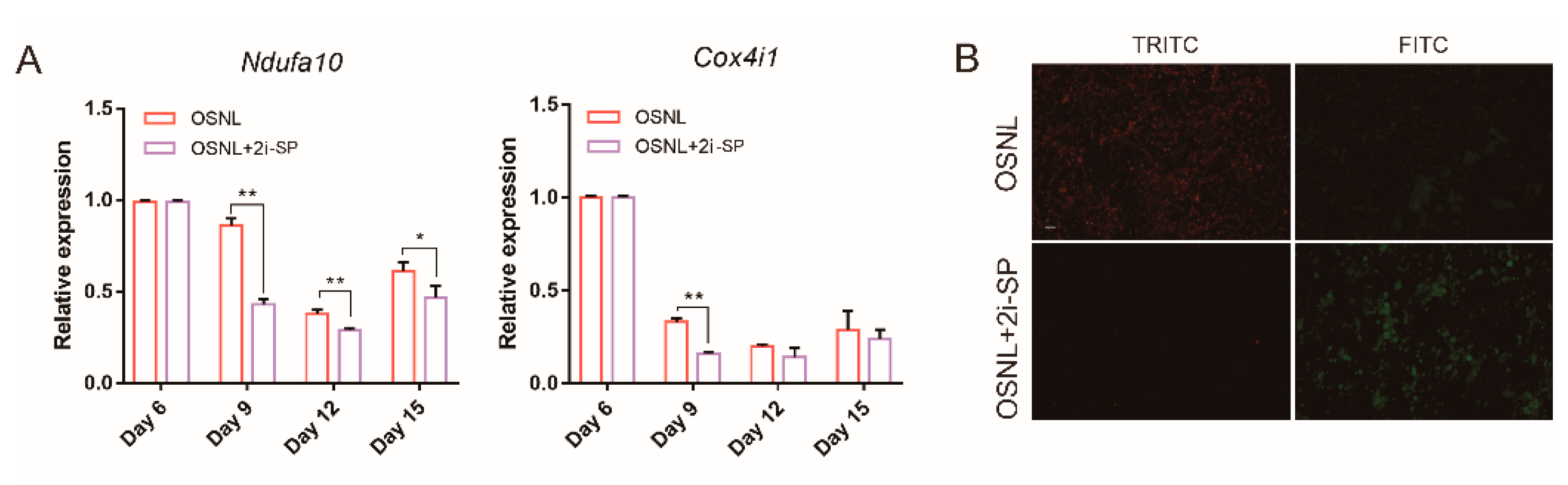 Animals 11 00425 g007 Animals 11 00425 g007