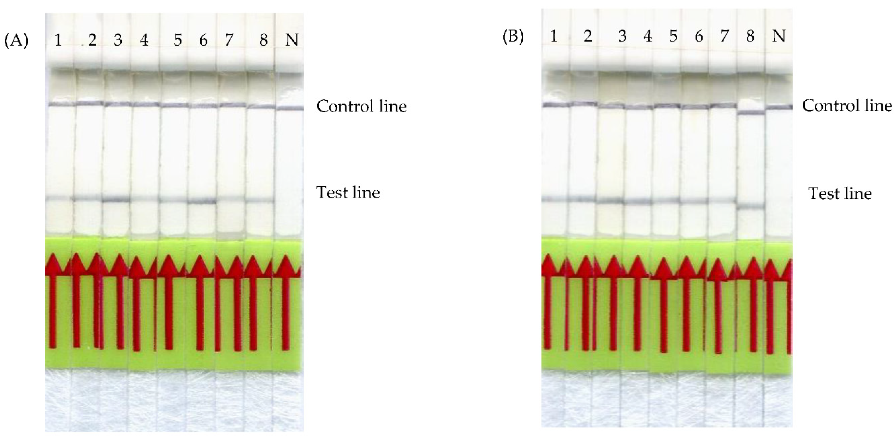 Animals 11 00426 g004 Animals 11 00426 g004