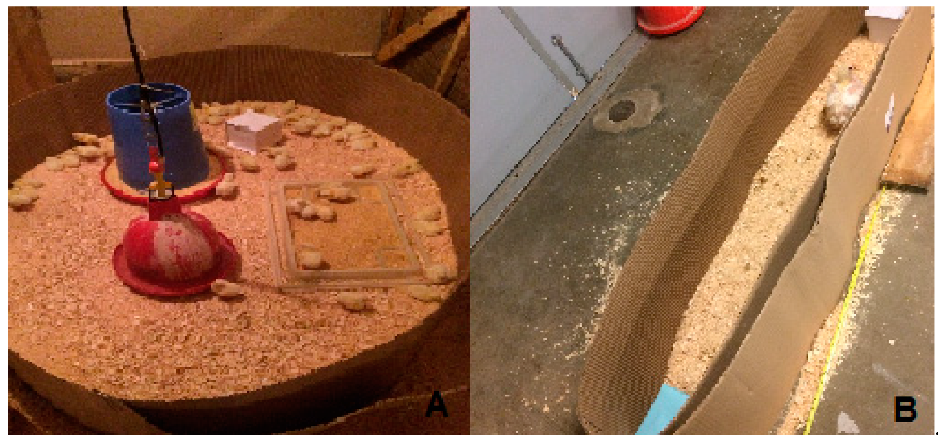 Animals 11 00427 g001 Animals 11 00427 g001