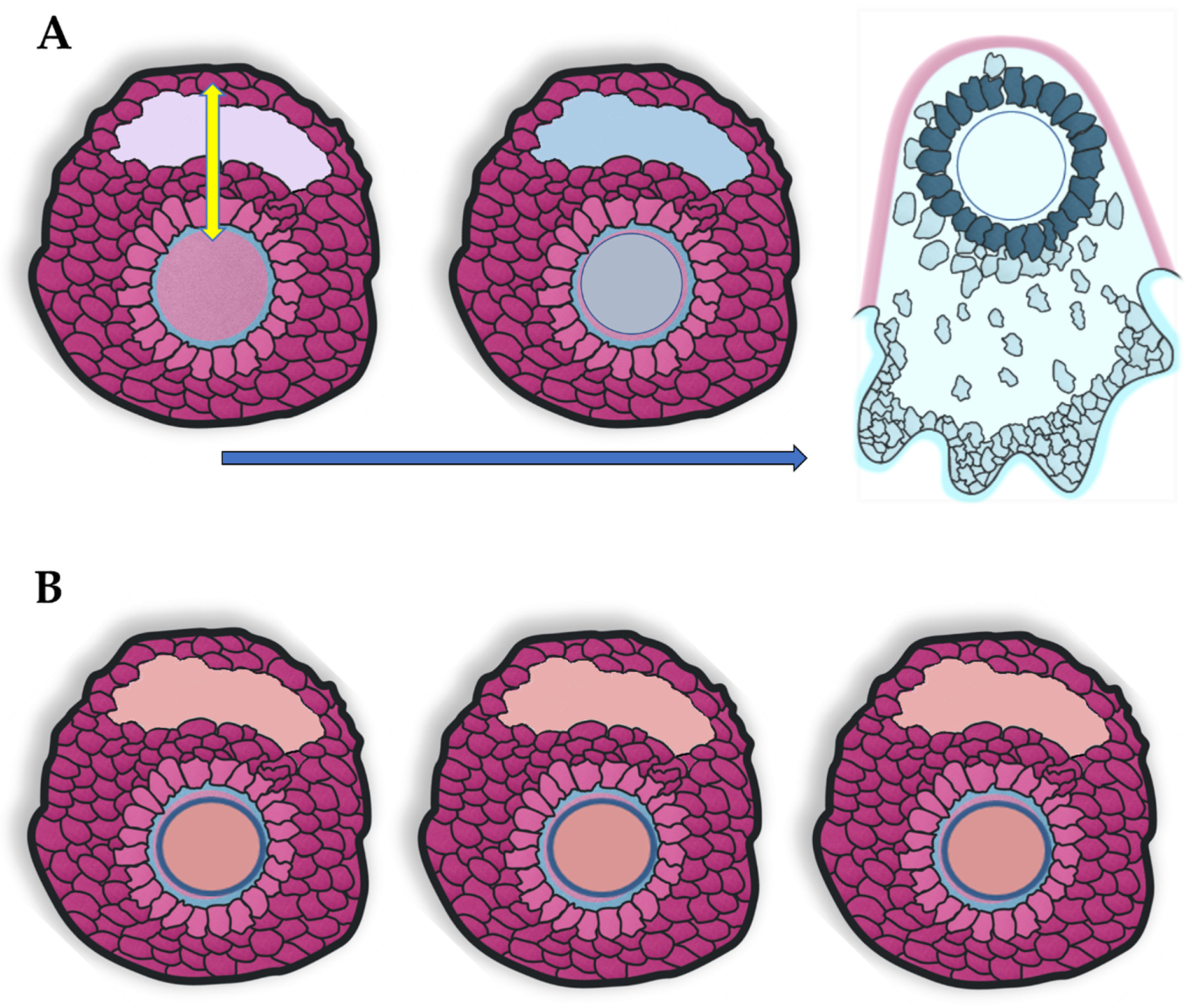 Animals 11 00435 g001 Animals 11 00435 g001