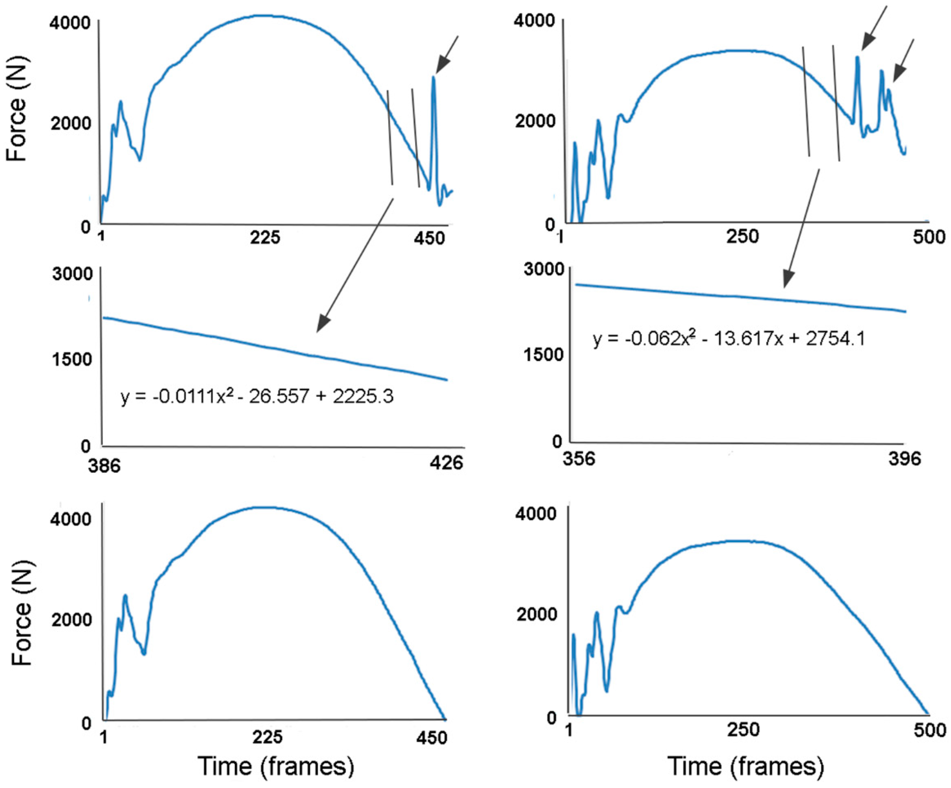 Animals 11 00436 g001