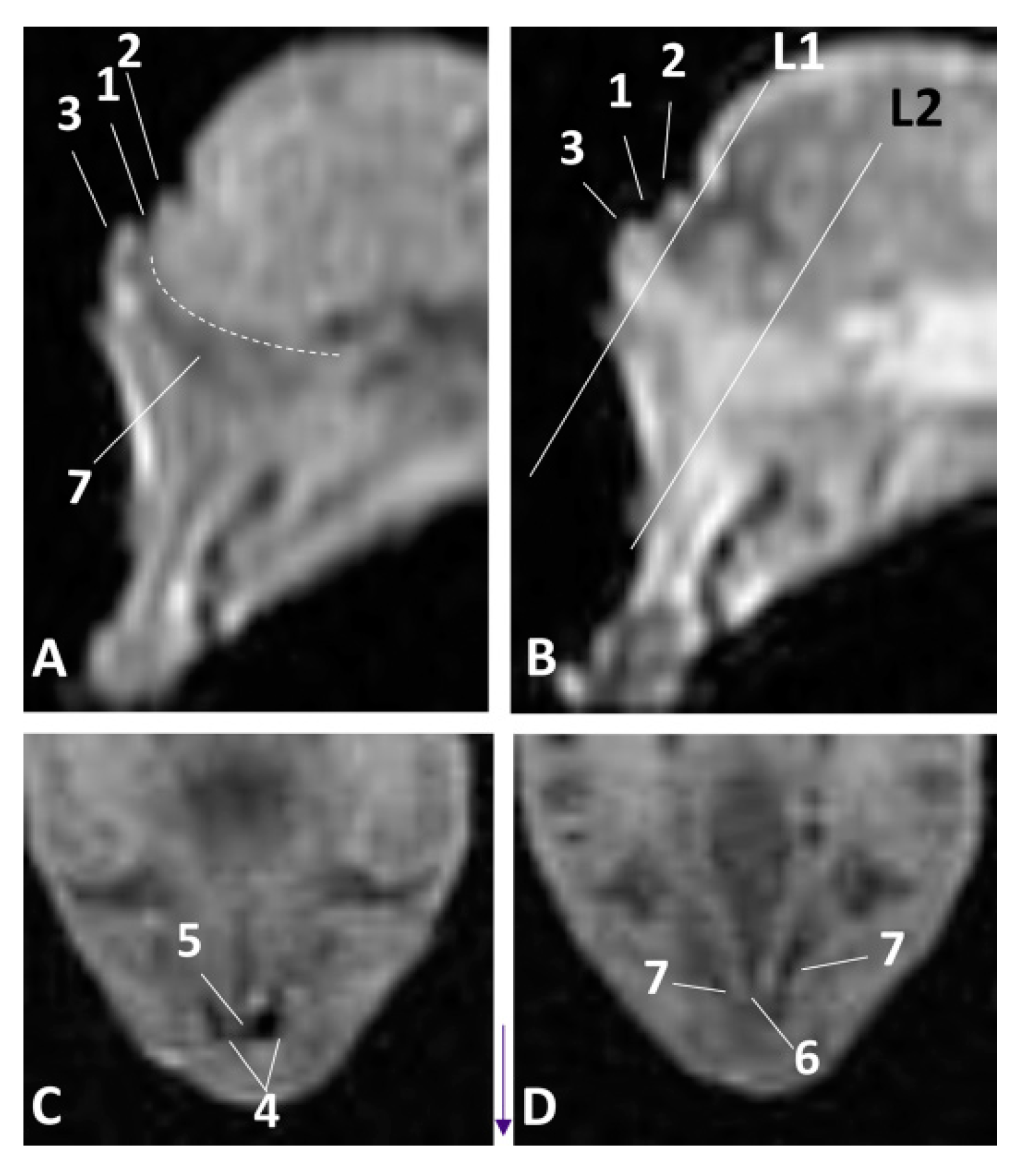 Animals 11 00441 g007