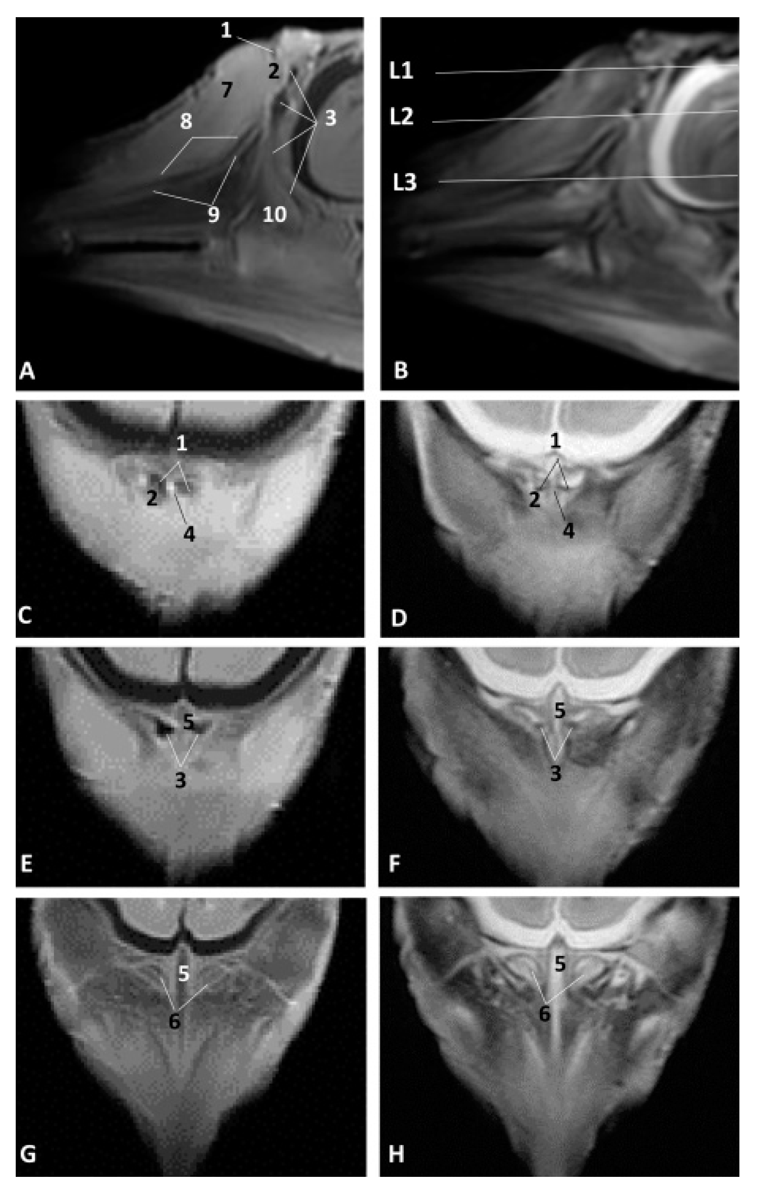 Animals 11 00441 g009