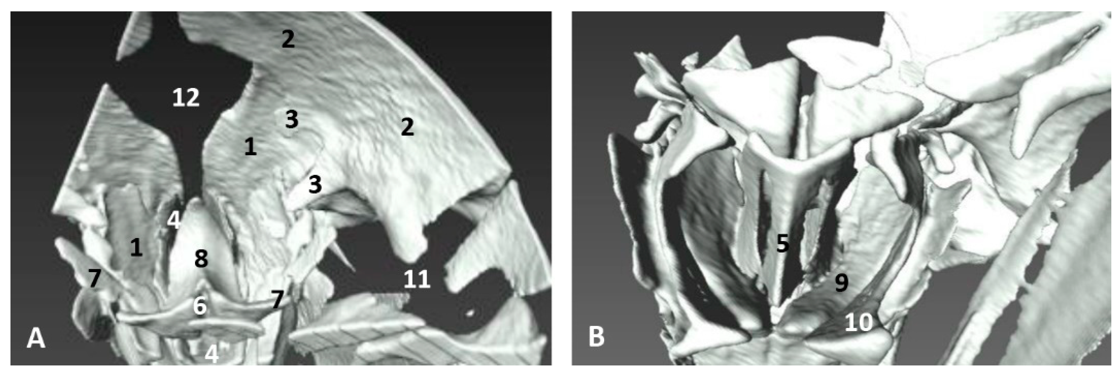 Animals 11 00441 g016