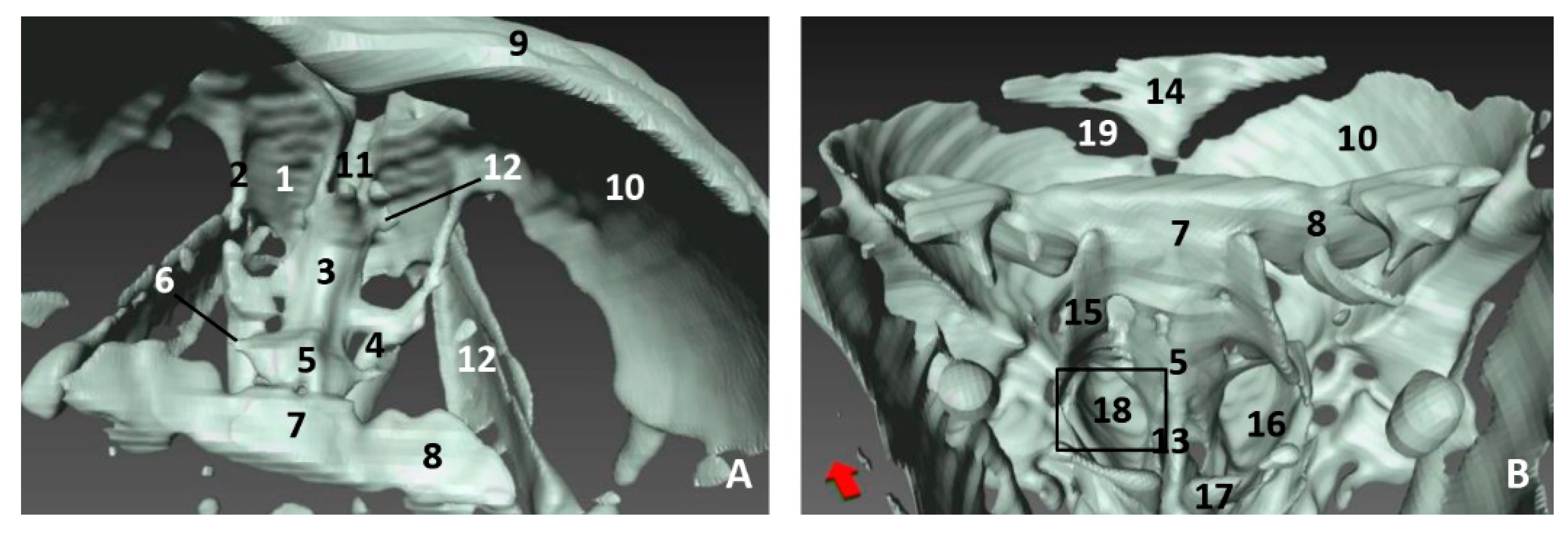 Animals 11 00441 g019