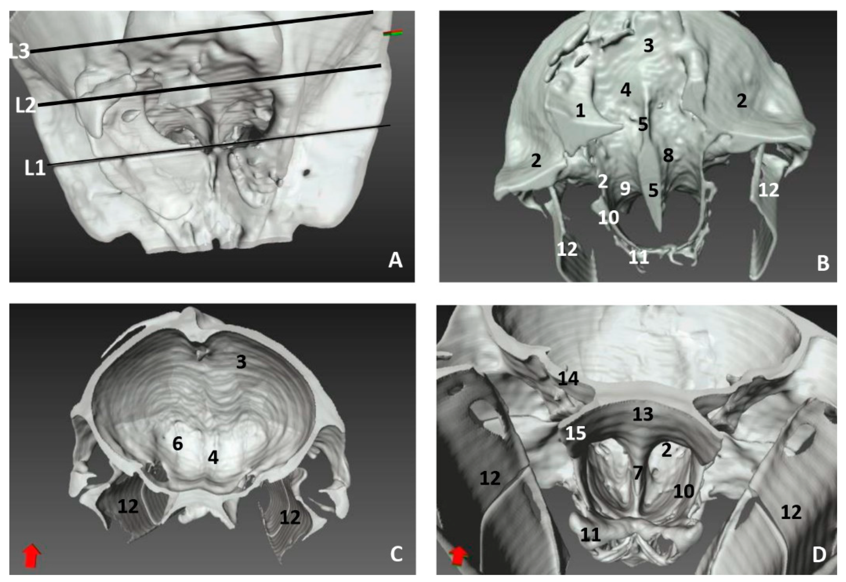 Animals 11 00441 g021