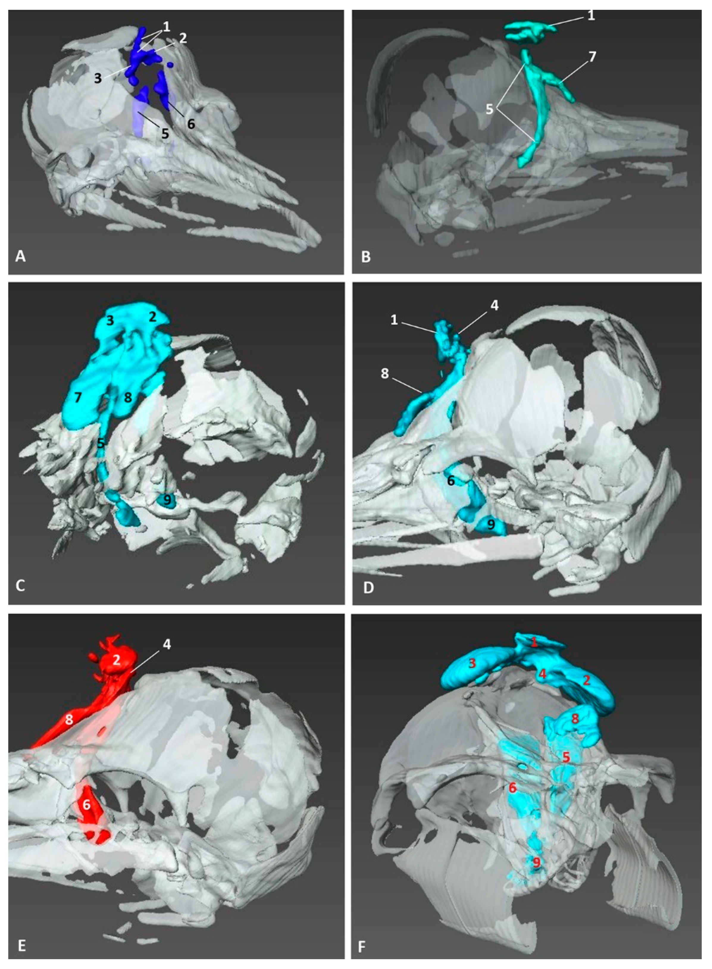 Animals 11 00441 g022