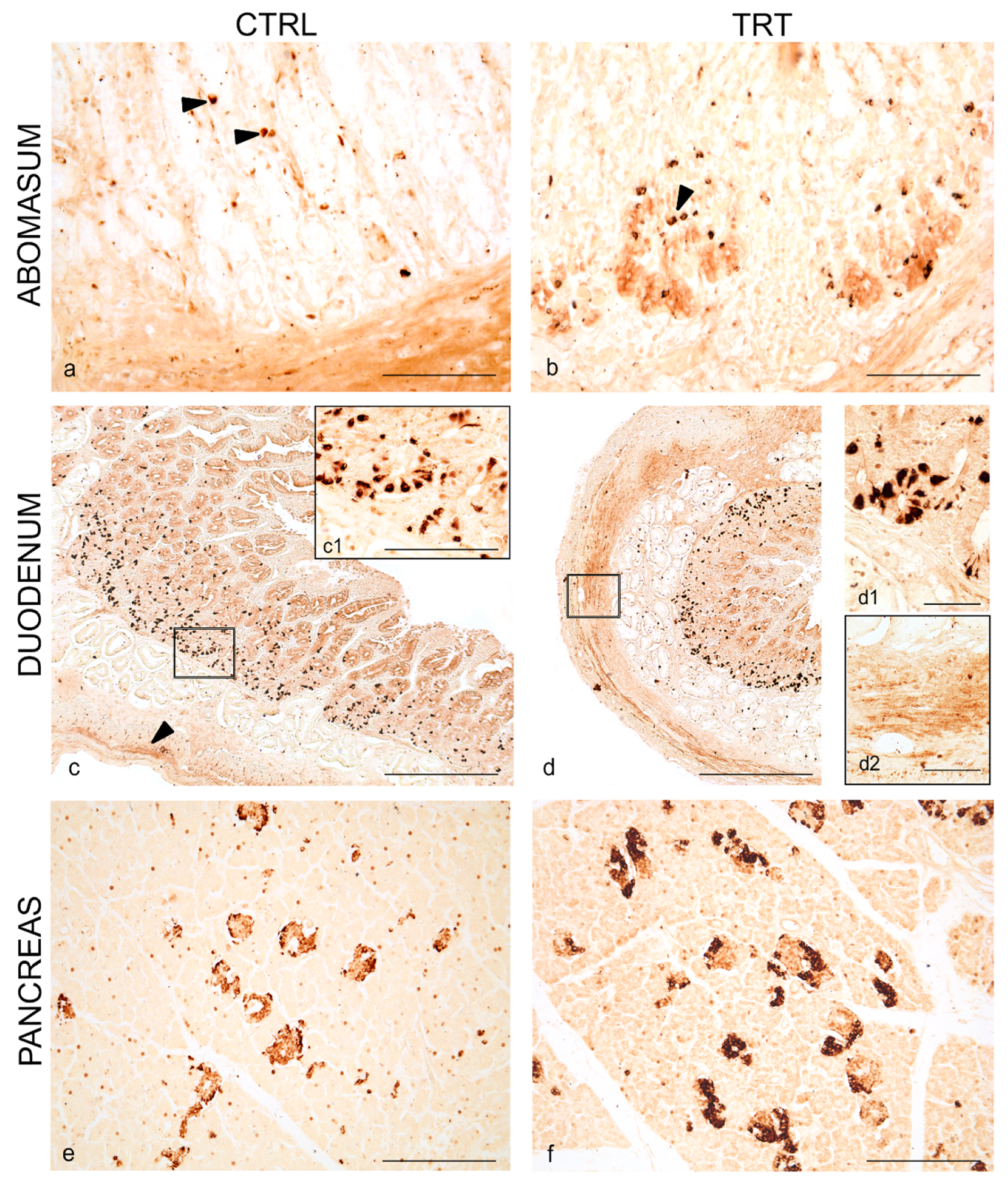 Animals 11 00449 g001 Animals 11 00449 g001