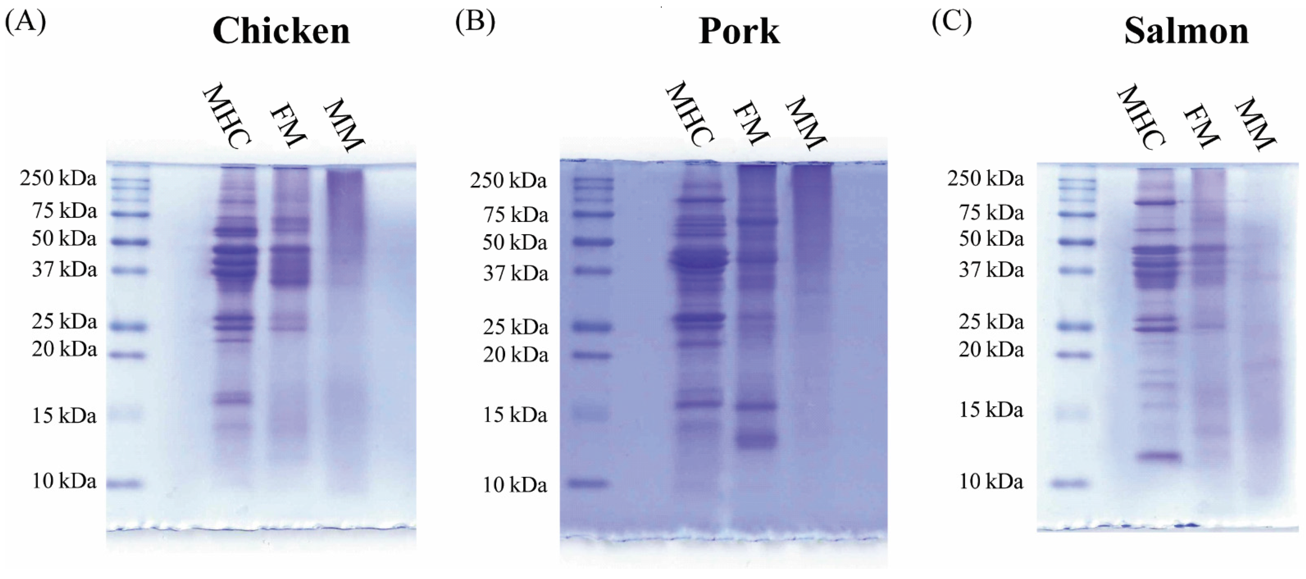 Animals 11 00458 g004