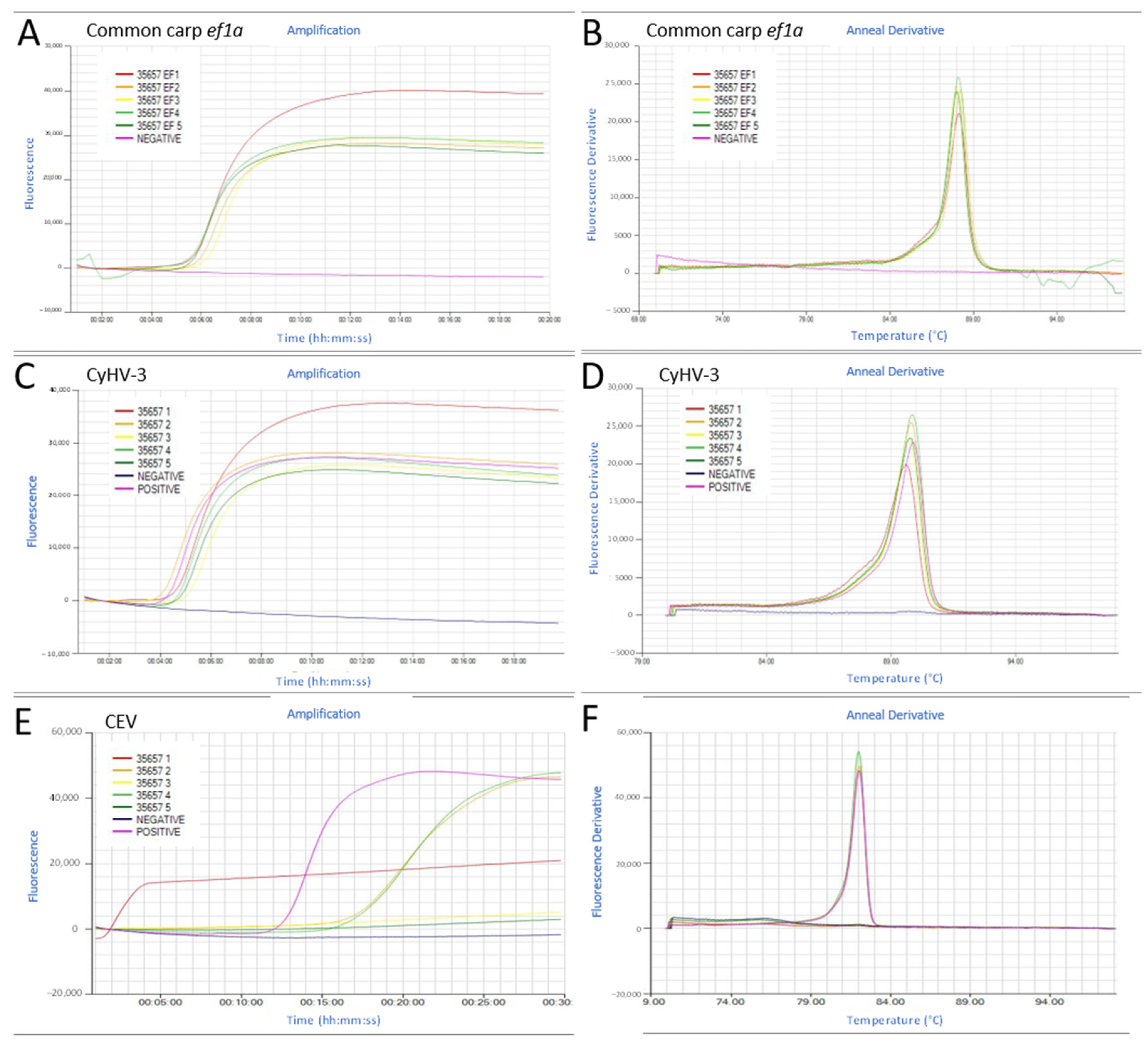 Animals 11 00459 g006 Animals 11 00459 g006