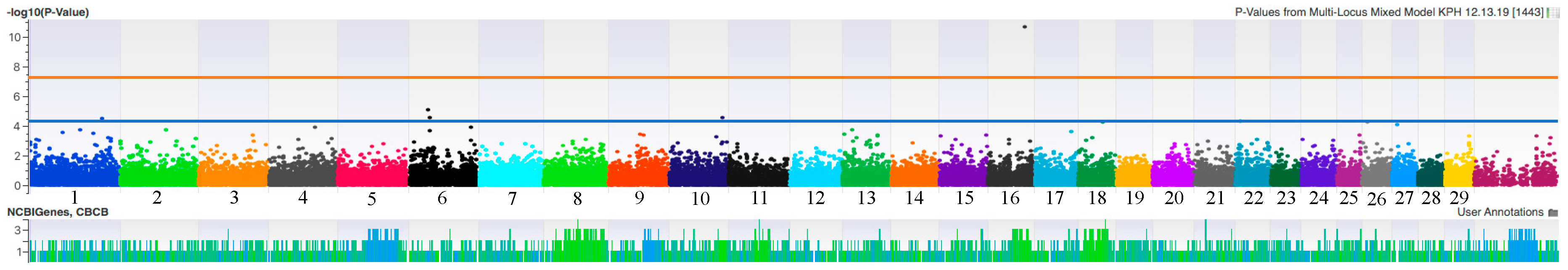 Animals 11 00471 g001