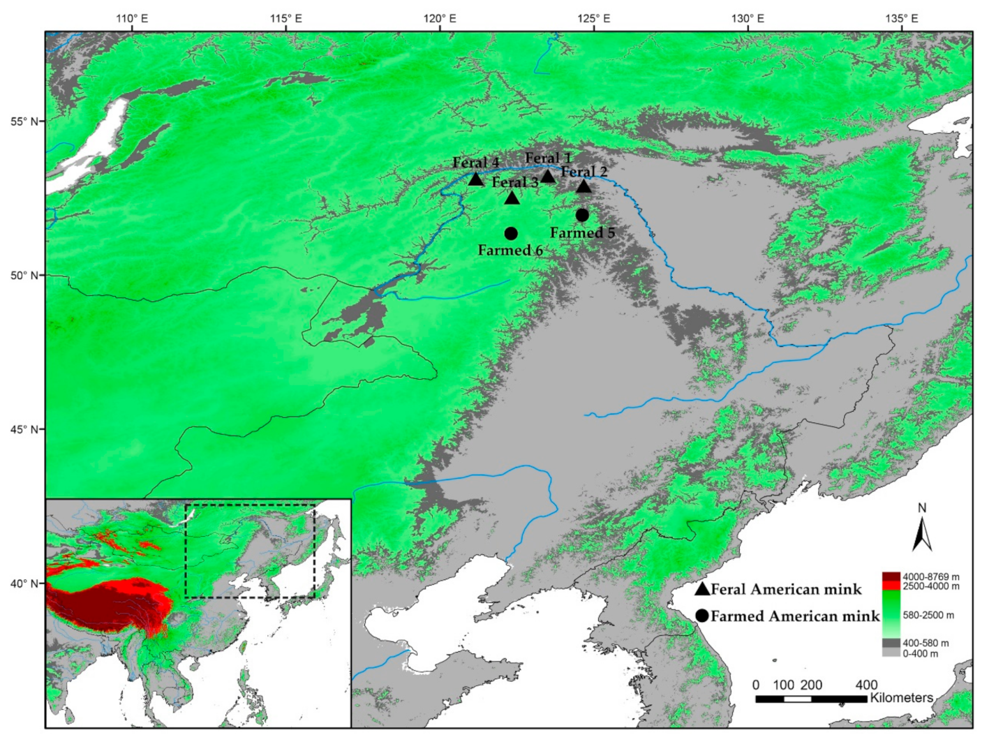 Animals 11 00472 g001