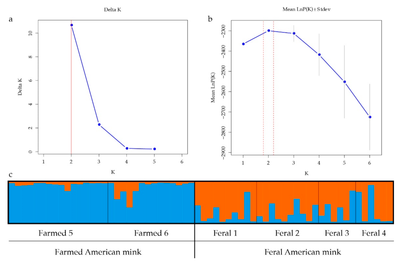 Animals 11 00472 g002