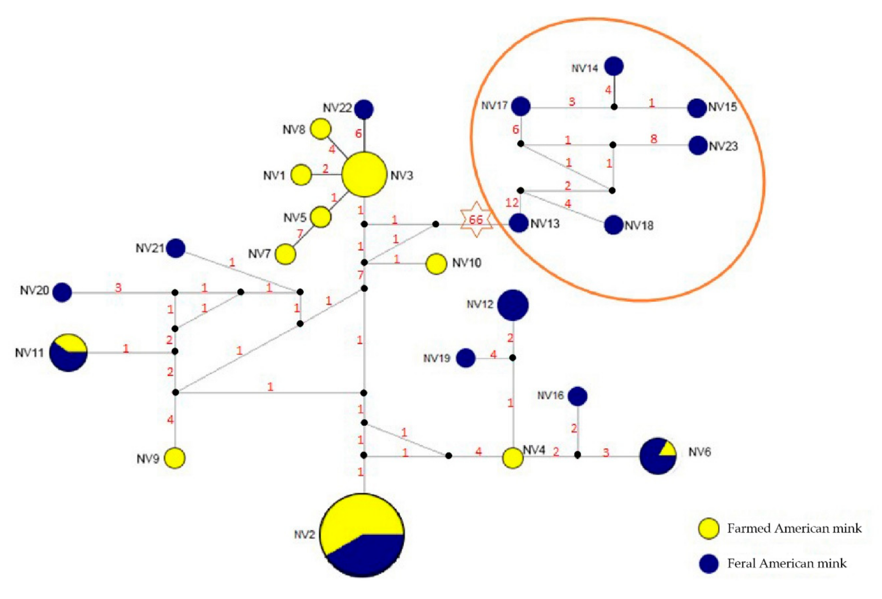 Animals 11 00472 g004