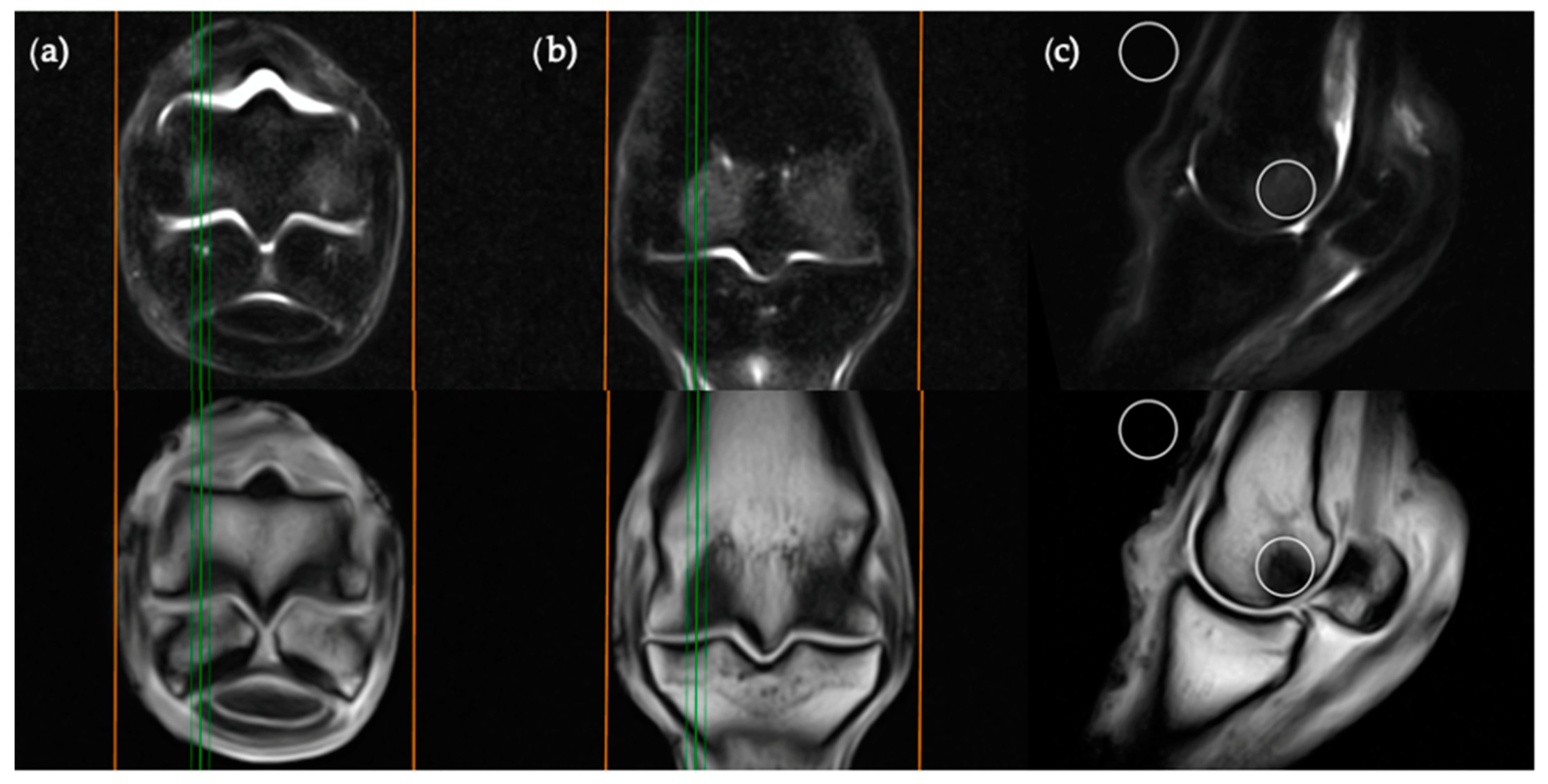 Animals 11 00475 g003