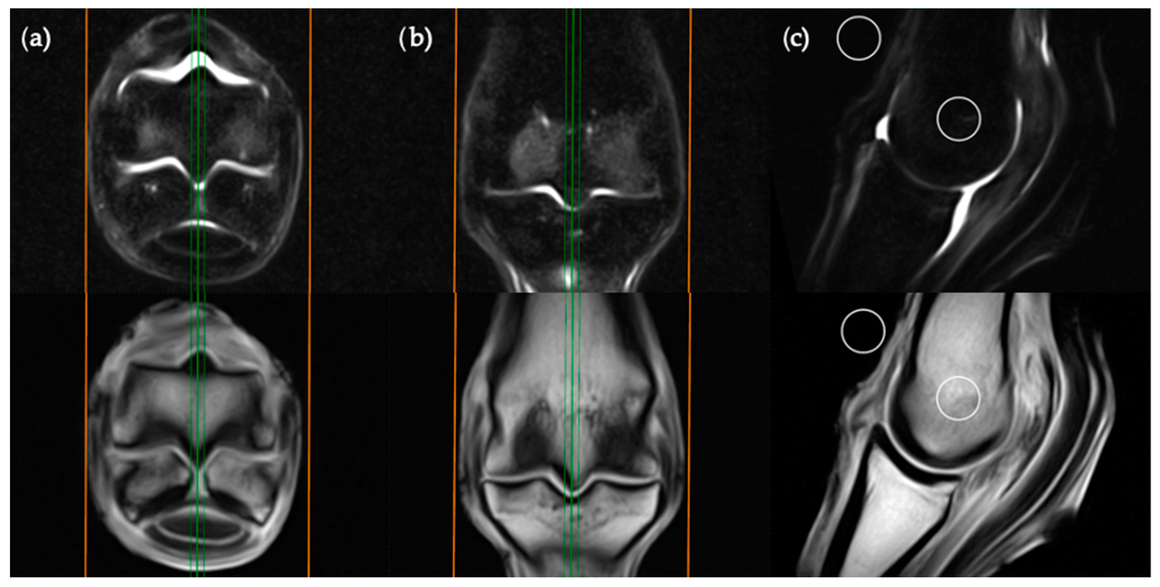 Animals 11 00475 g004