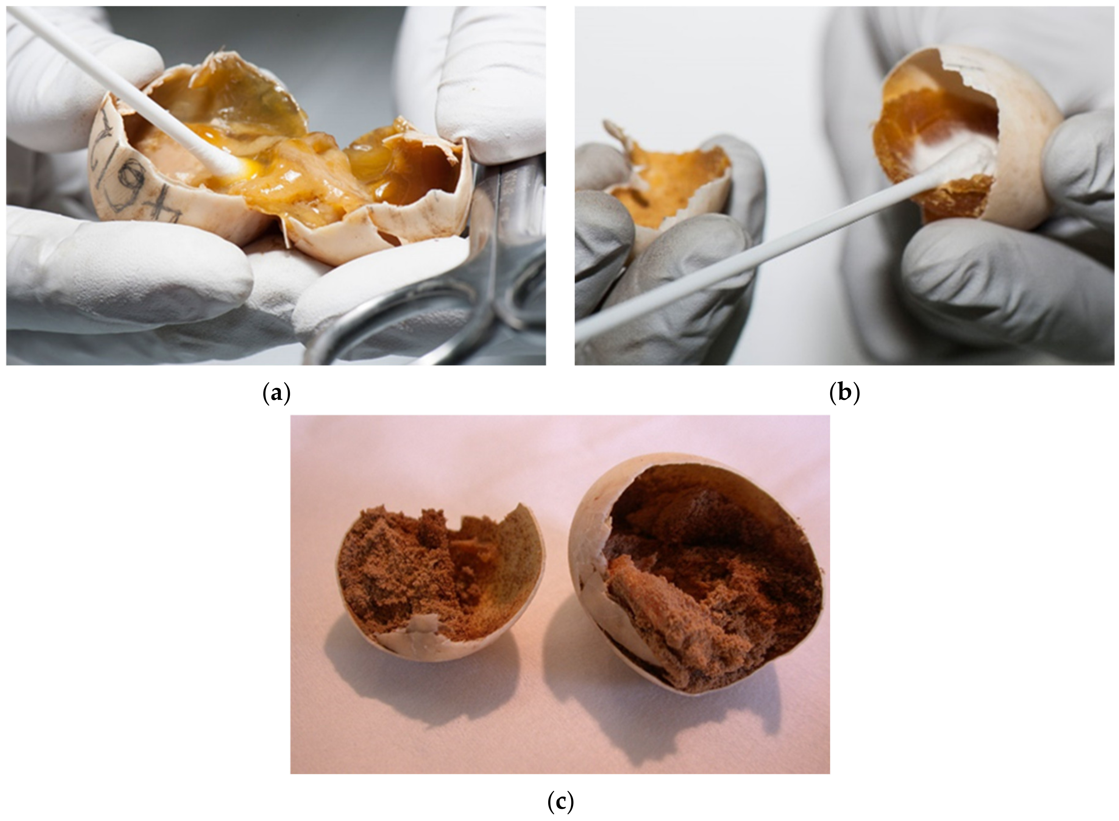 Animals 11 00478 g014