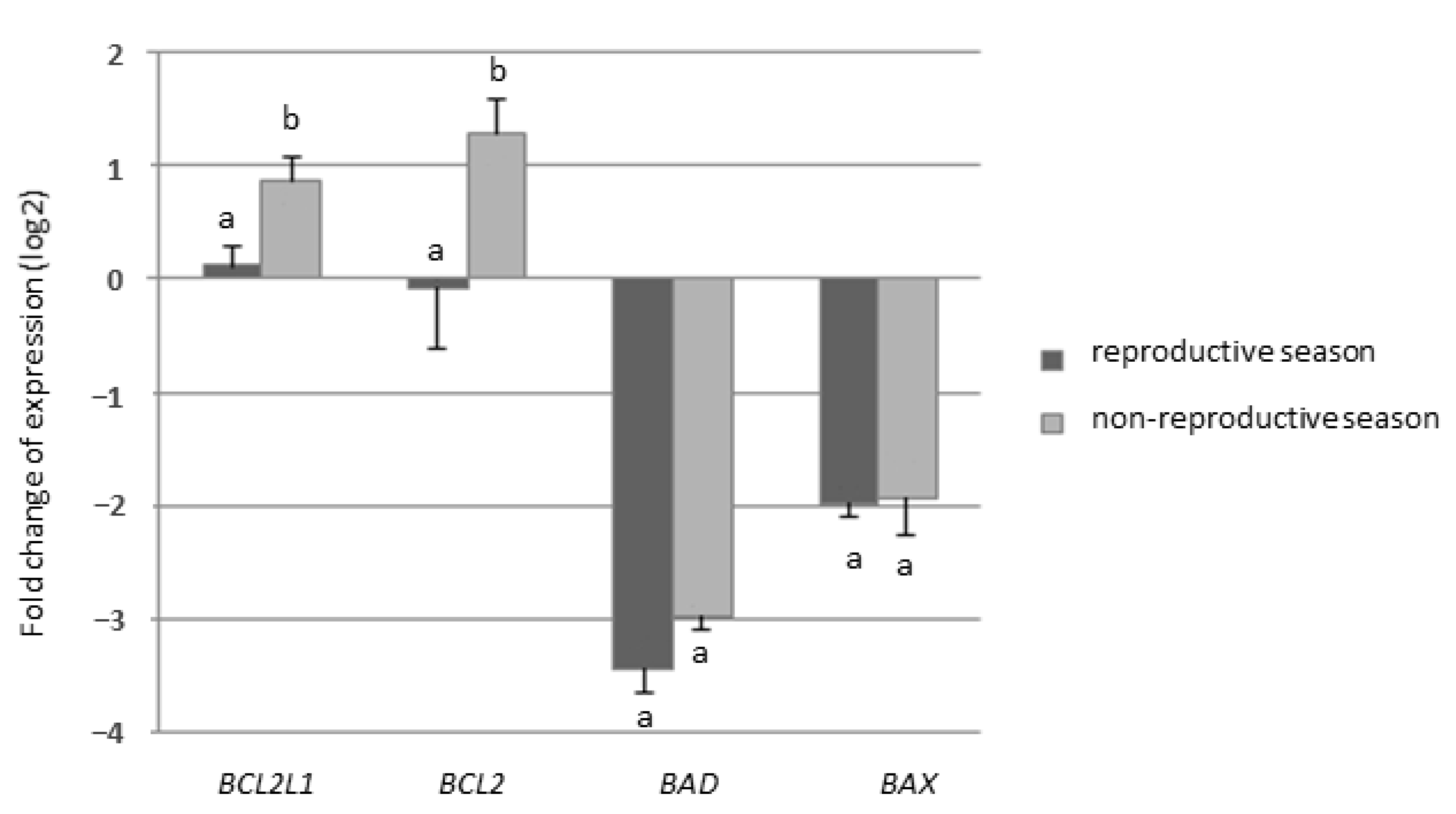 Animals 11 00489 g002