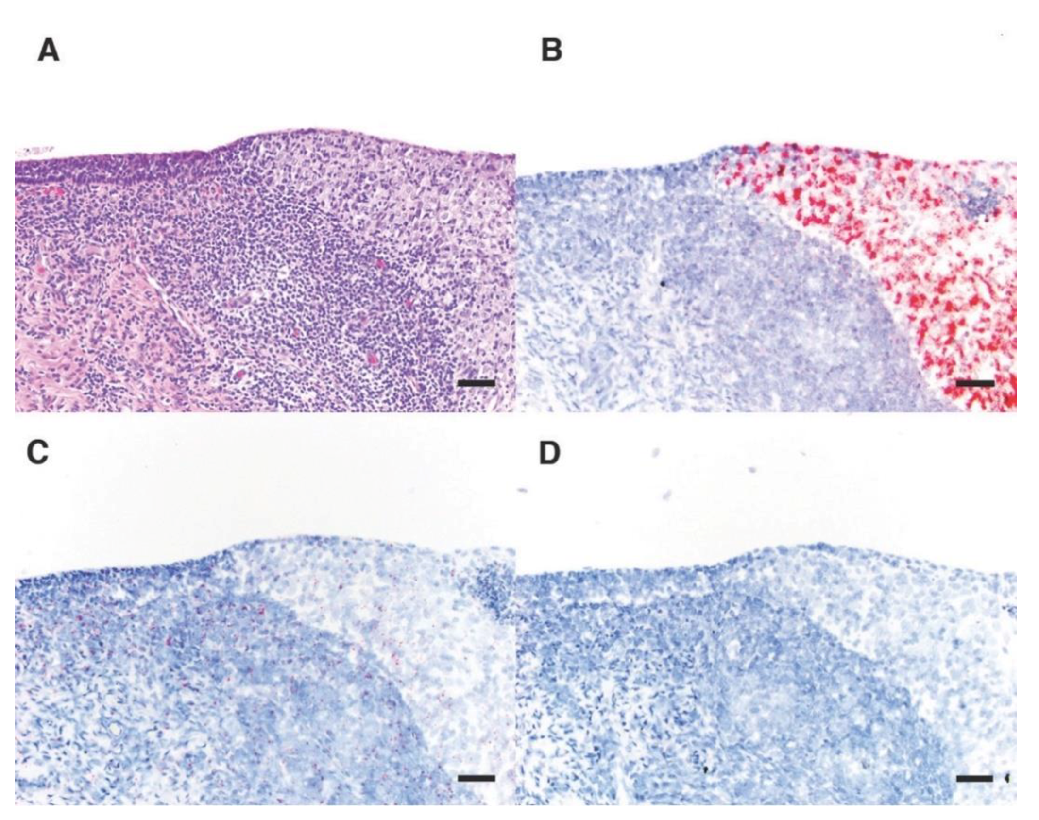 Animals 11 00491 g004