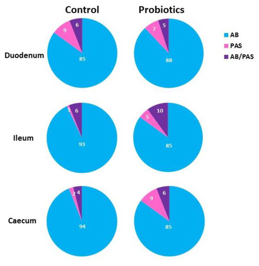 Modulation of Morphology and Glycan Composition of Mucins in