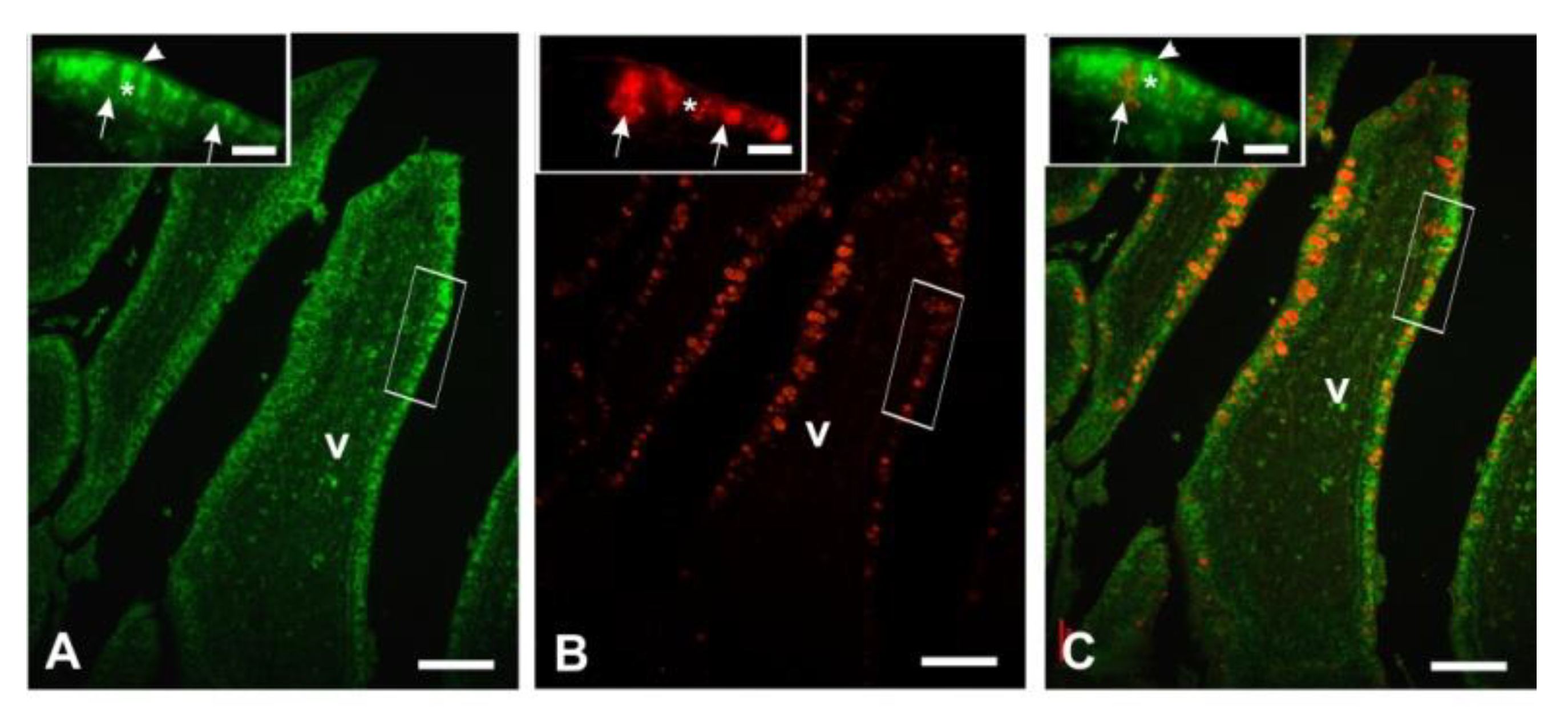 Animals 11 00495 g009