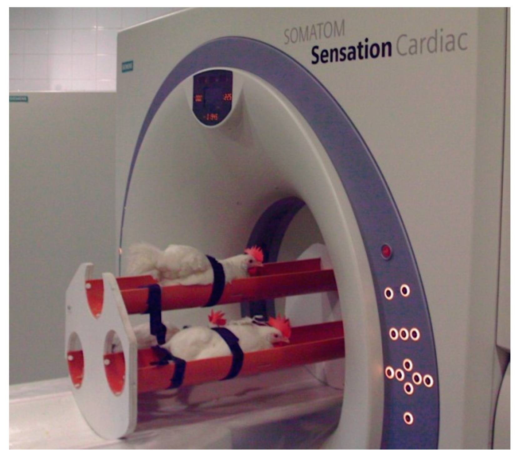 Animals 11 00500 g001 Animals 11 00500 g001