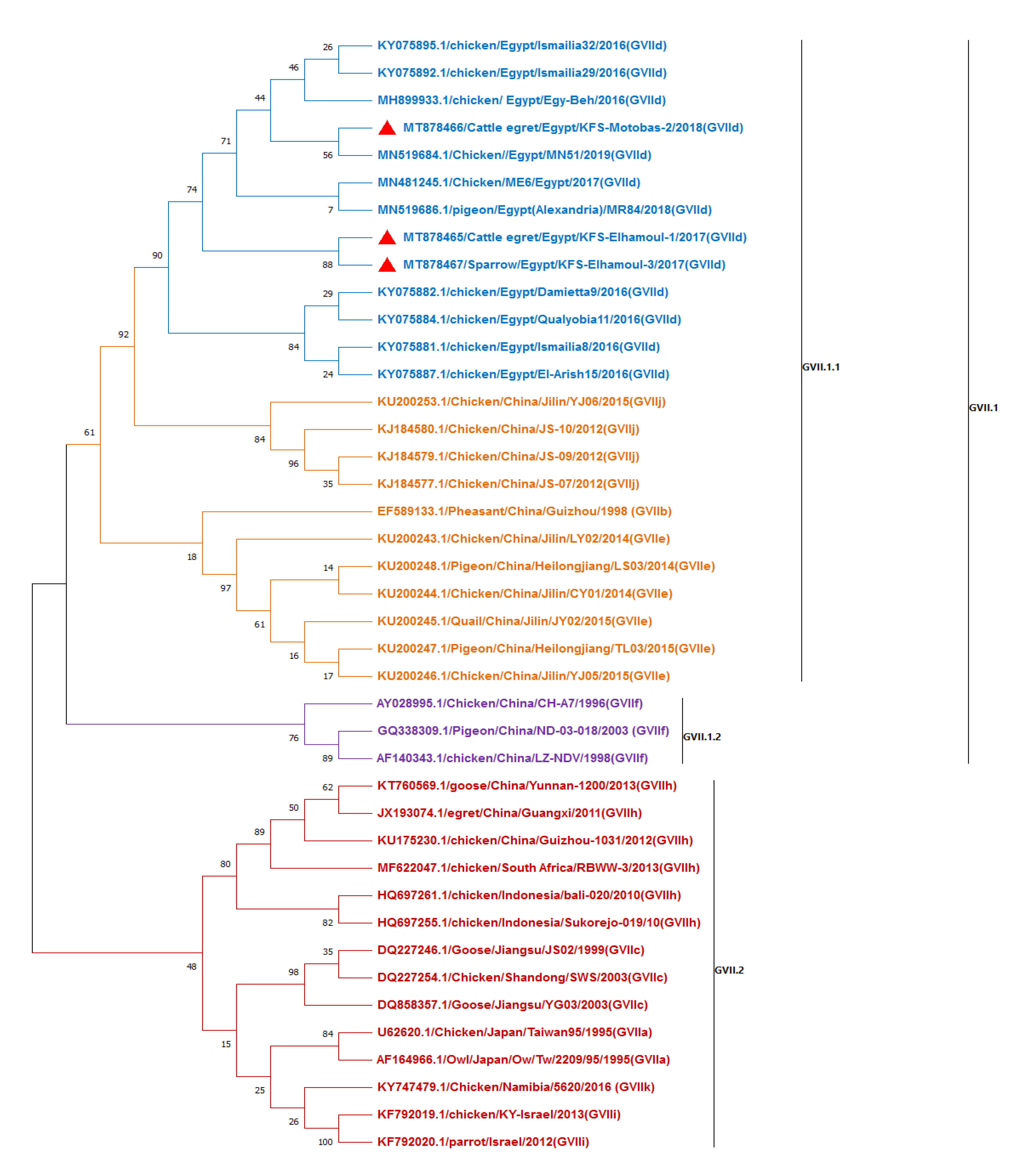 Animals 11 00505 g002