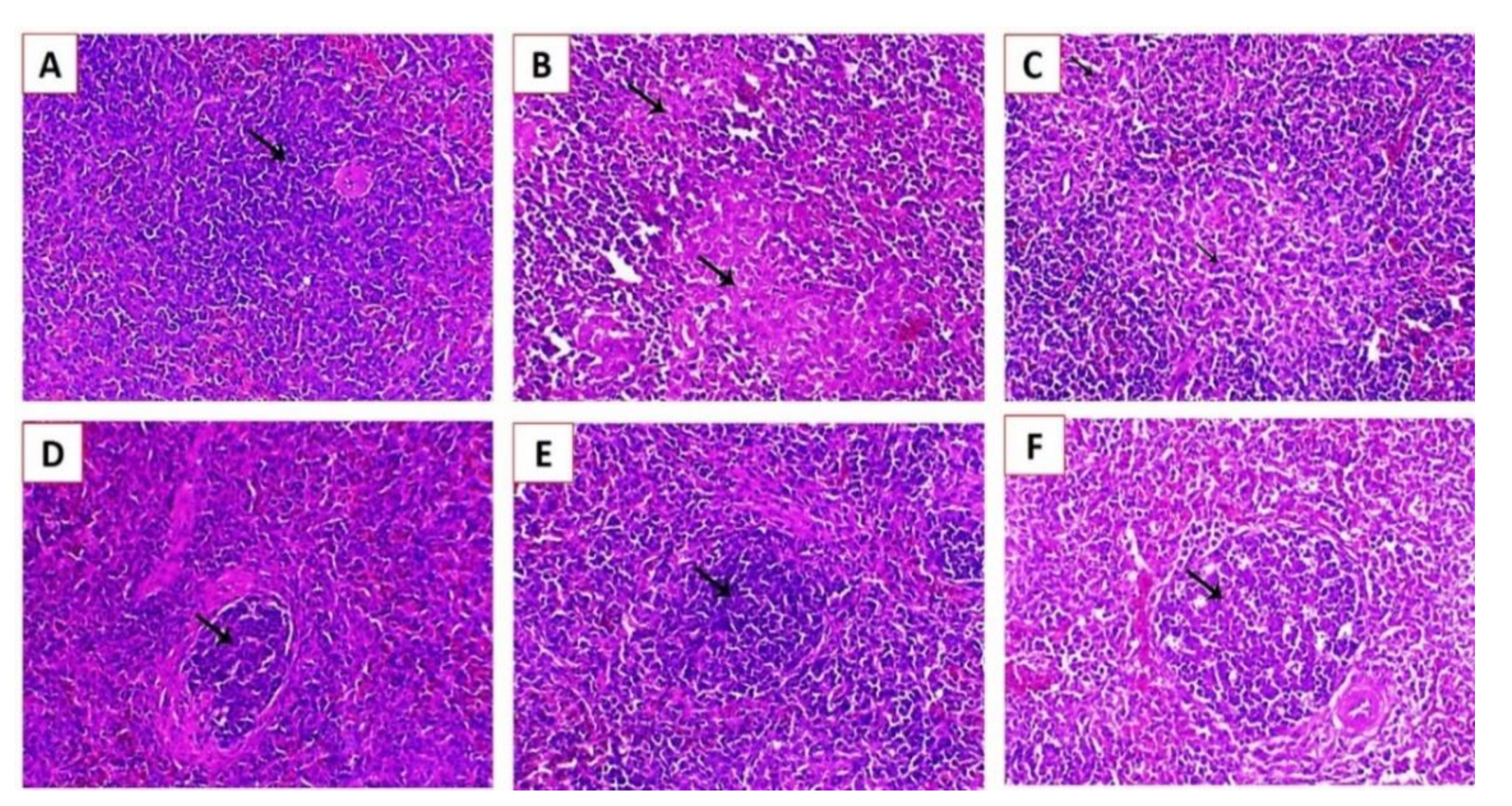 Animals 11 00505 g009