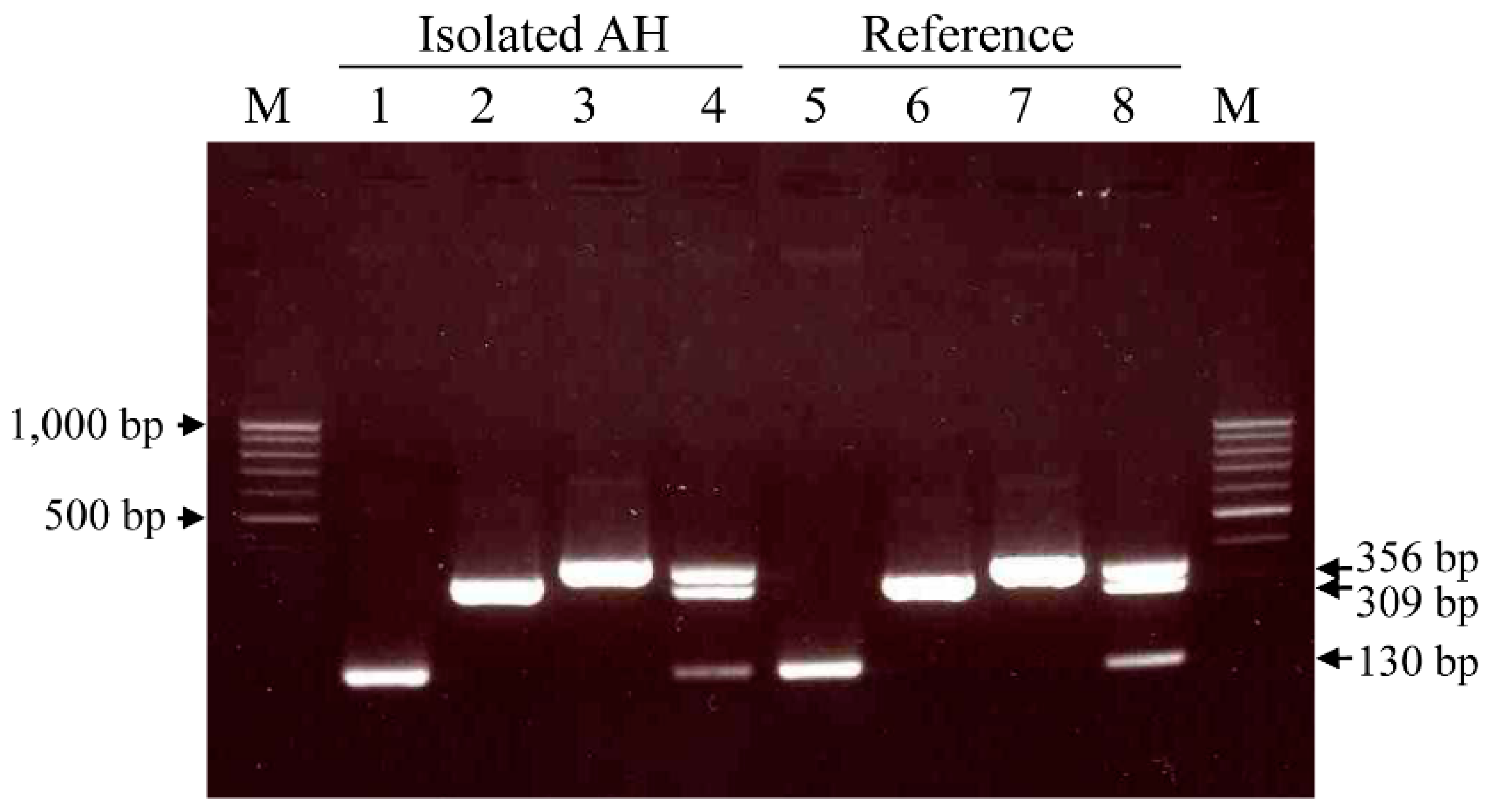 Animals 11 00508 g001 Animals 11 00508 g001