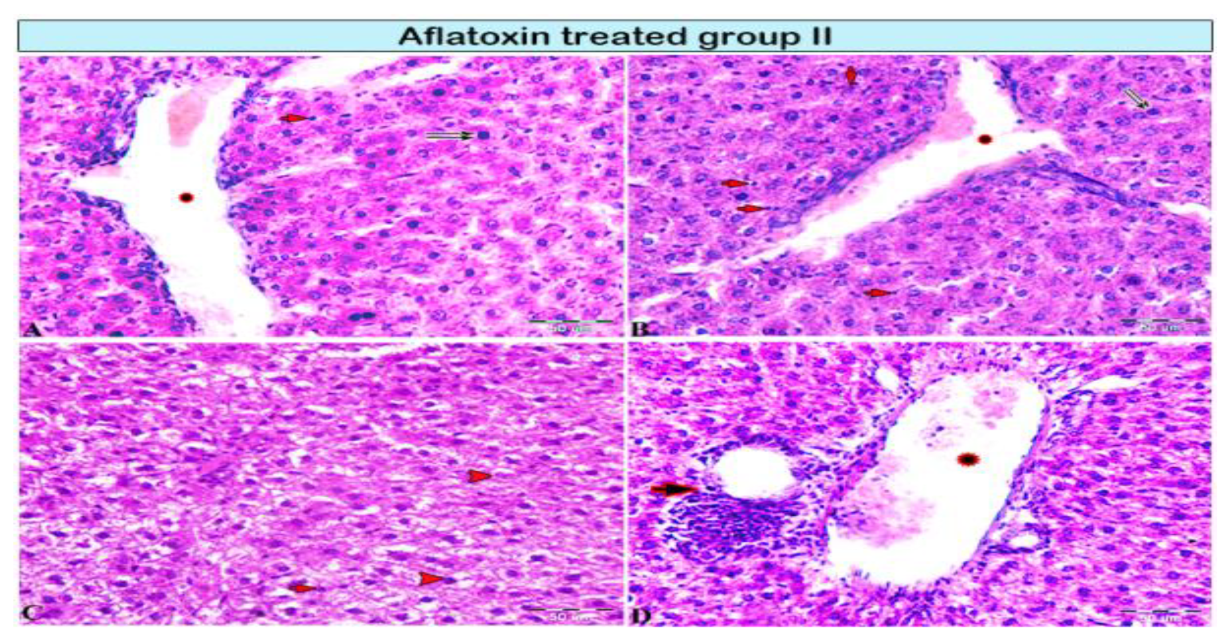 Animals 11 00509 g002 Animals 11 00509 g002