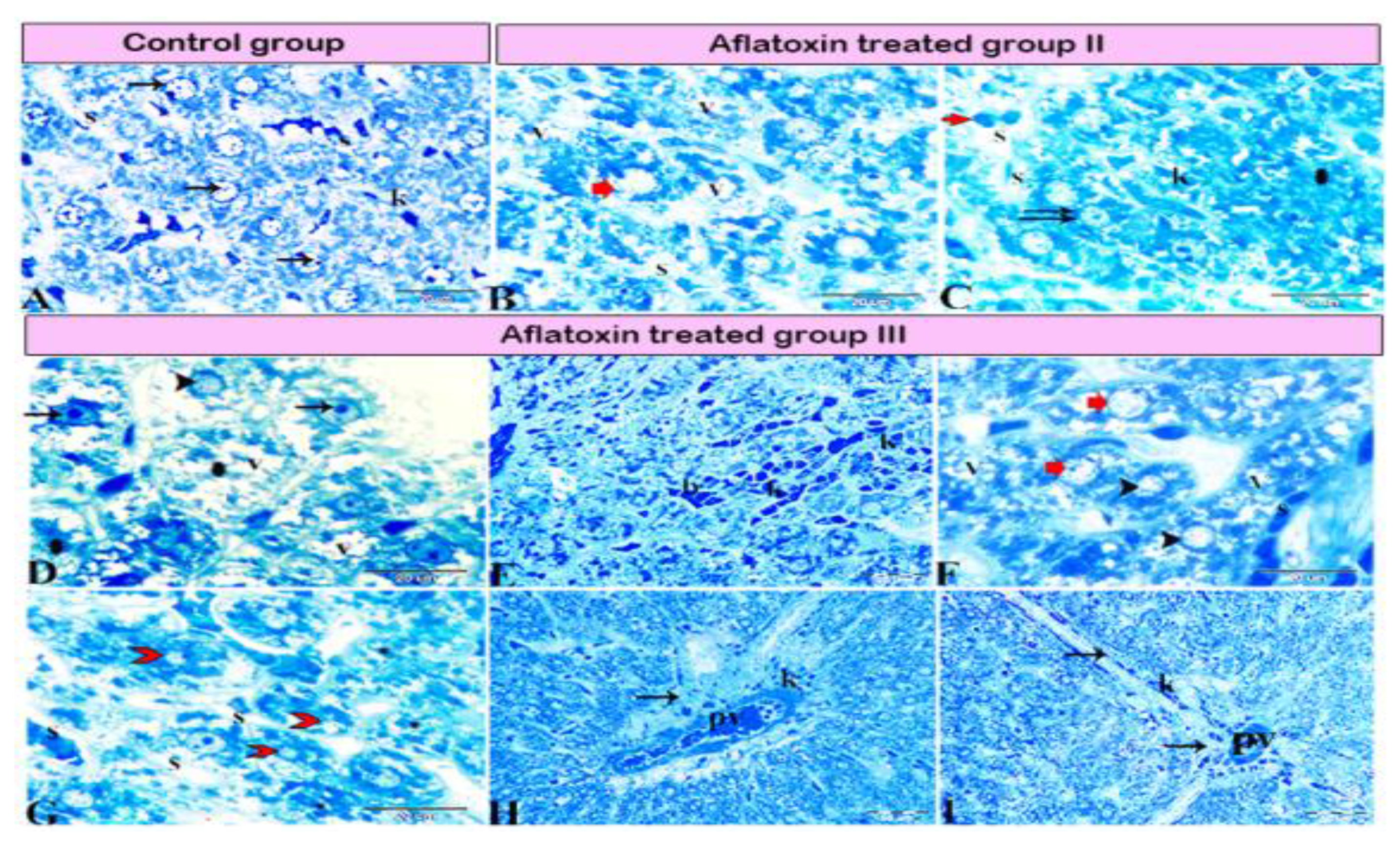 Animals 11 00509 g004 Animals 11 00509 g004