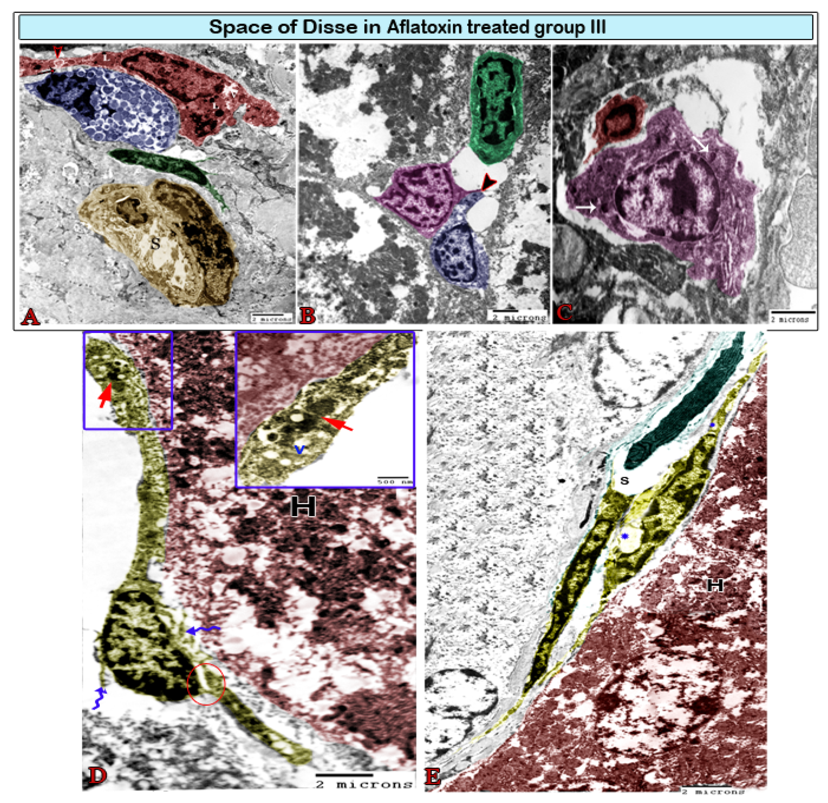 Animals 11 00509 g008 Animals 11 00509 g008